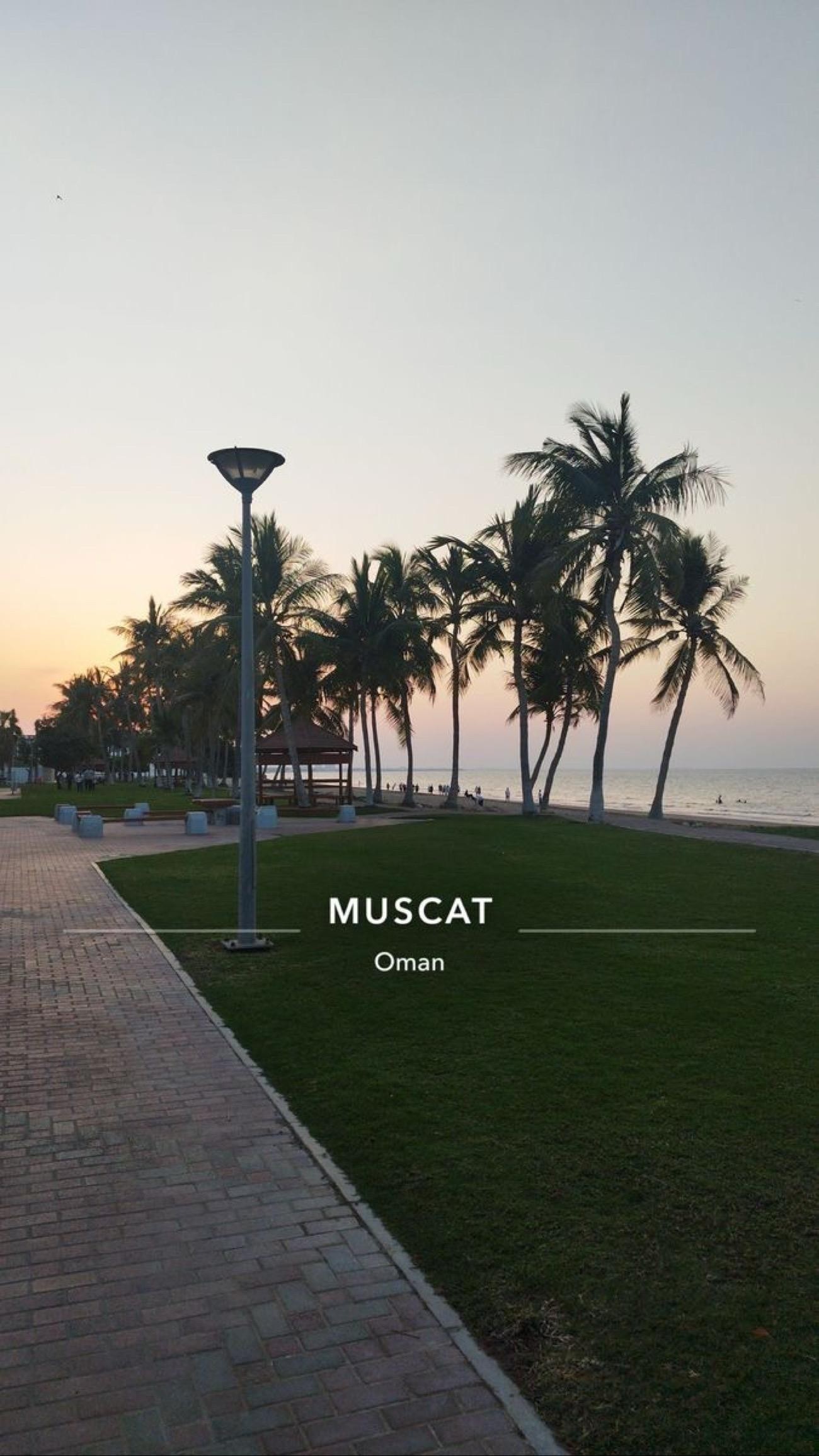 Muscat: Group Guided City Tour and Pickup-drop off 3
