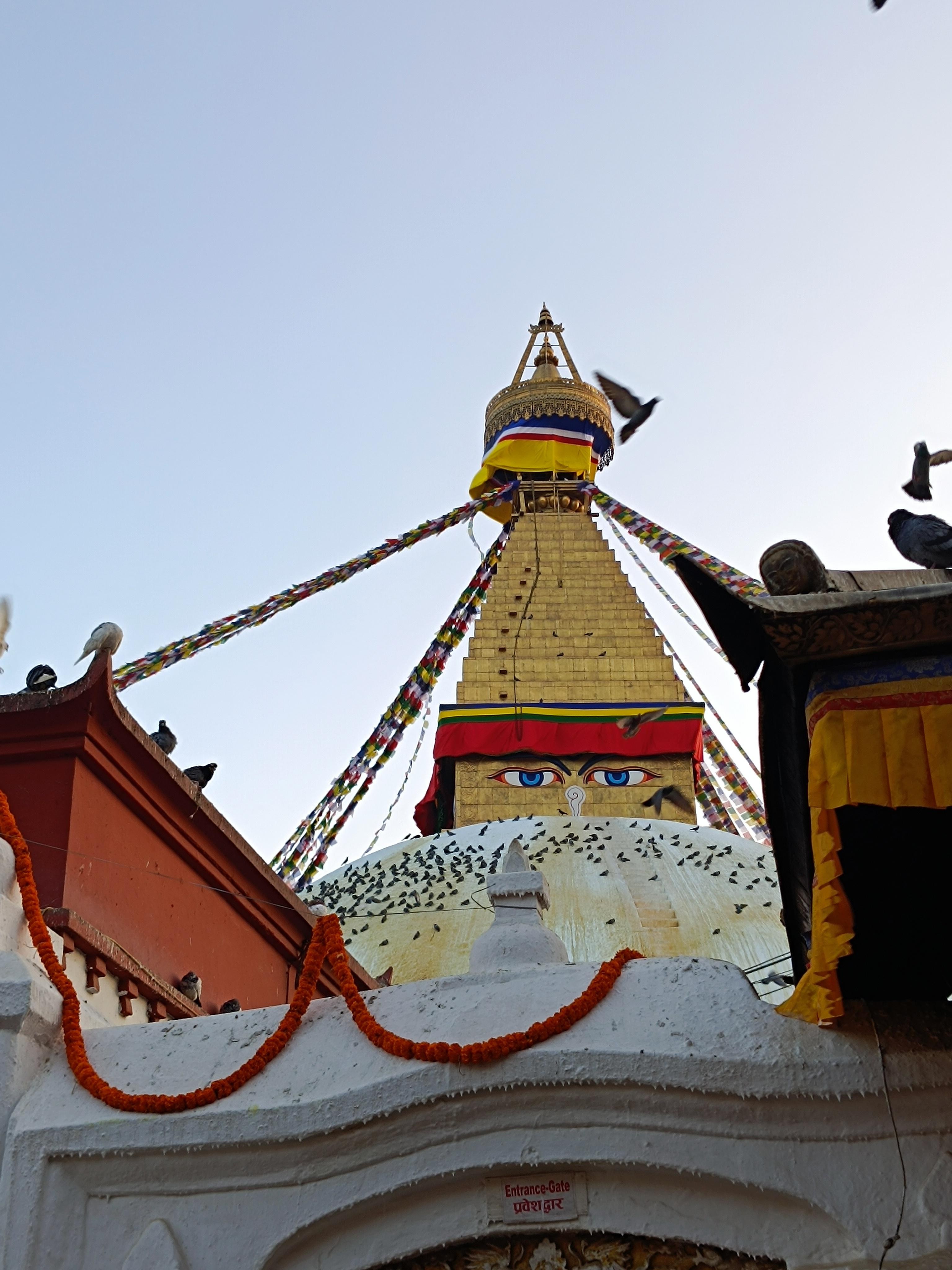 UNESCO Heritage 7 sites Kathmandu Sightseeing day tour 2