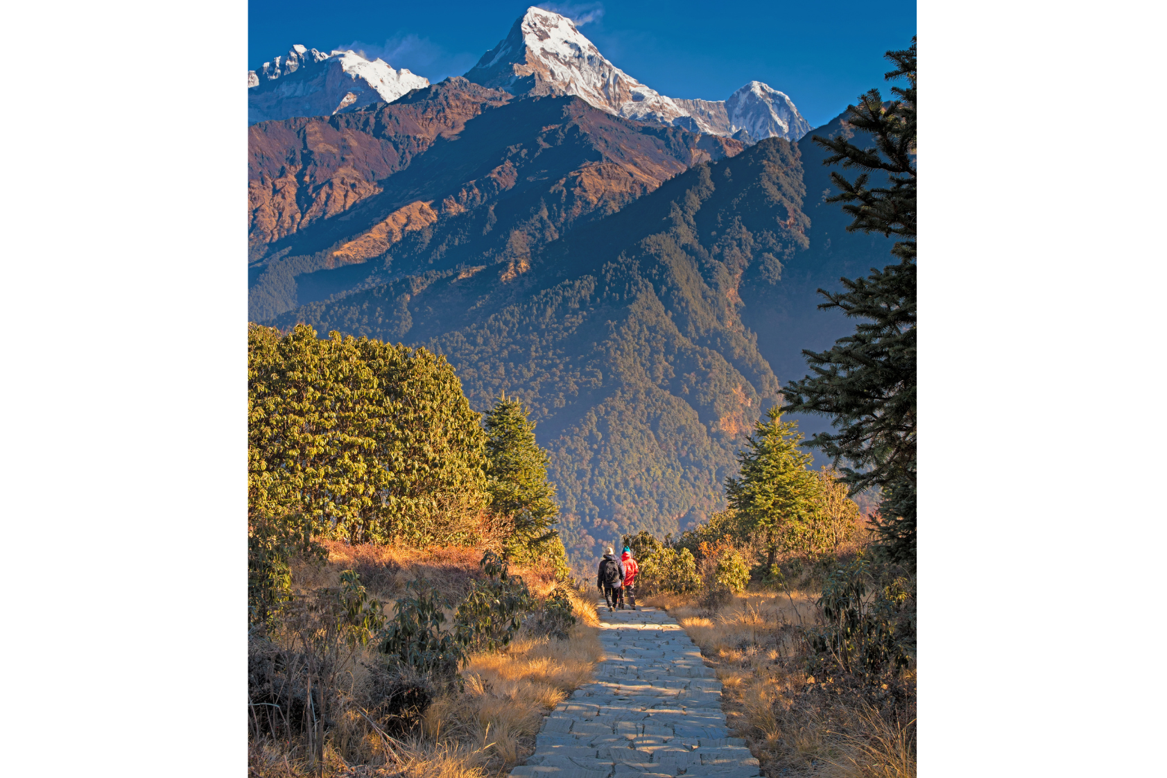 Pokhara: 2-Day Ghorepani Poon Hill Adventure 3