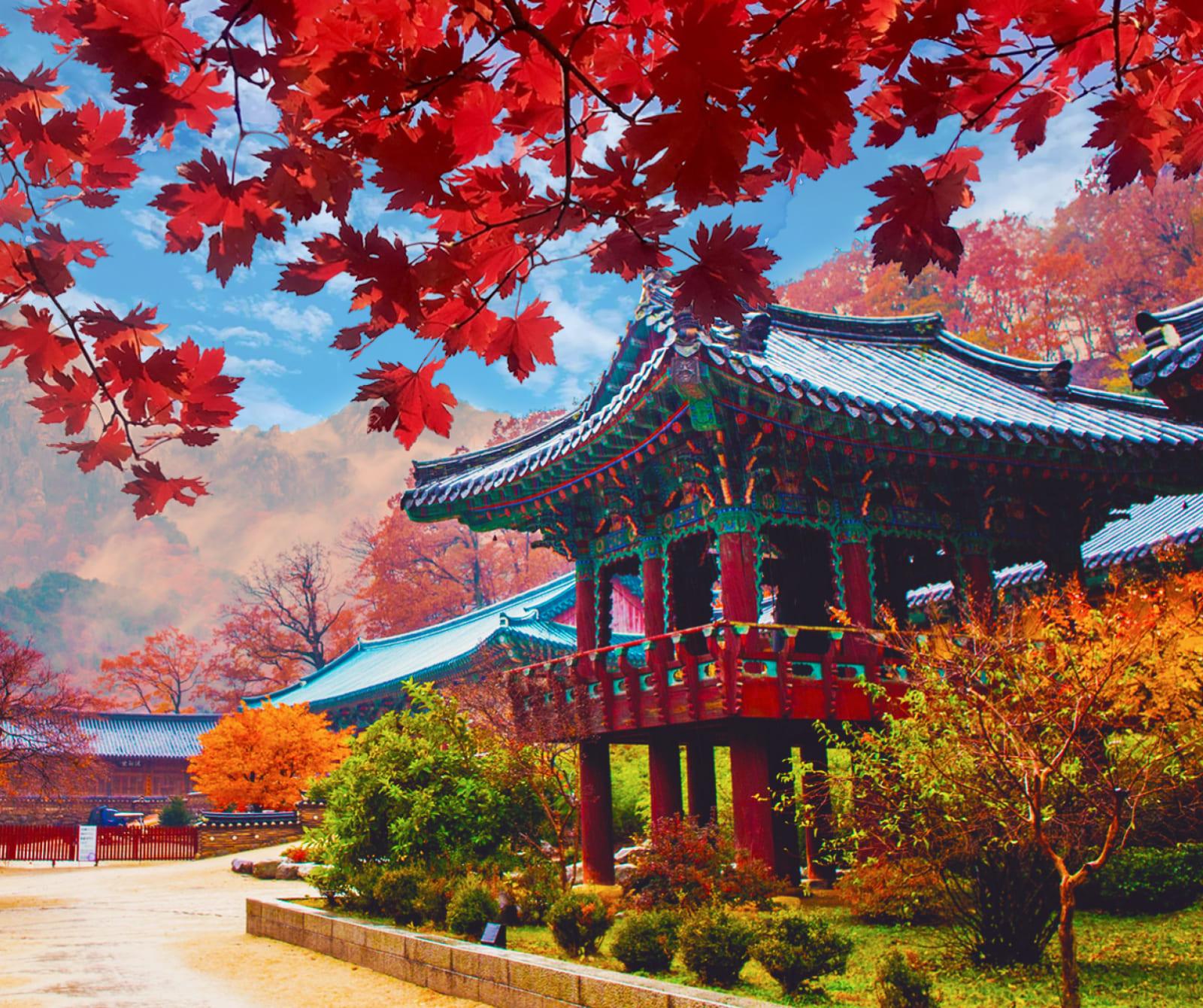 Naejangsan Autumn Foliage Day Tour from Seoul or Busan 2