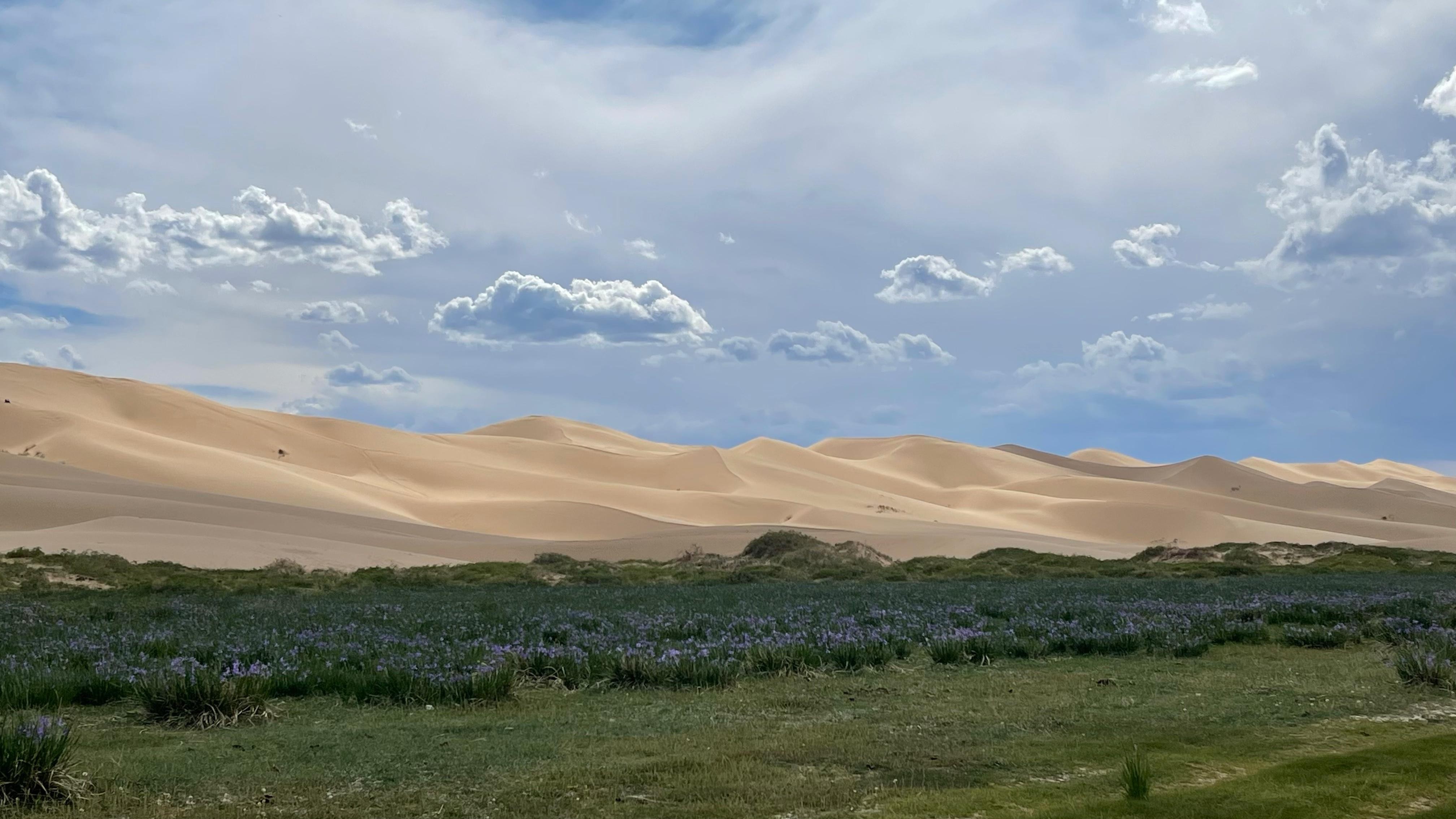 From Ulaanbaatar: 4-Day Mongolian Steppe & Nomadic Life Tour 3