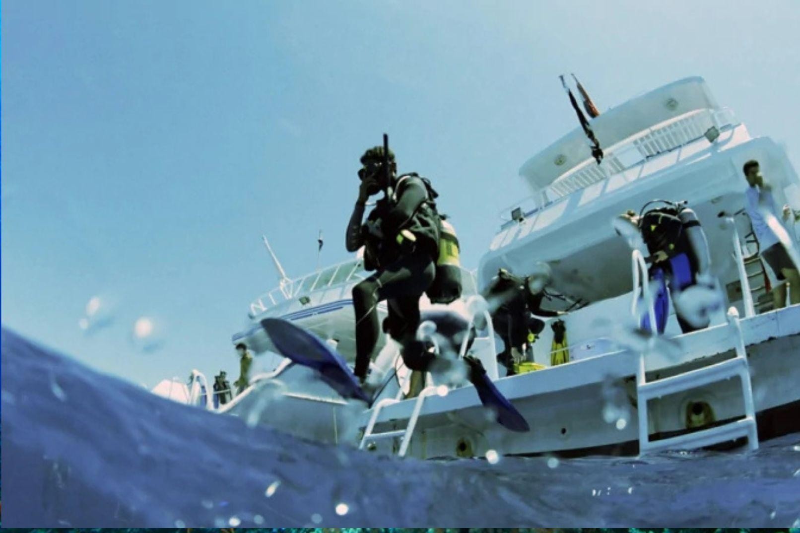 Qatar: Guided Scuba Diving for Beginners with Refreshments