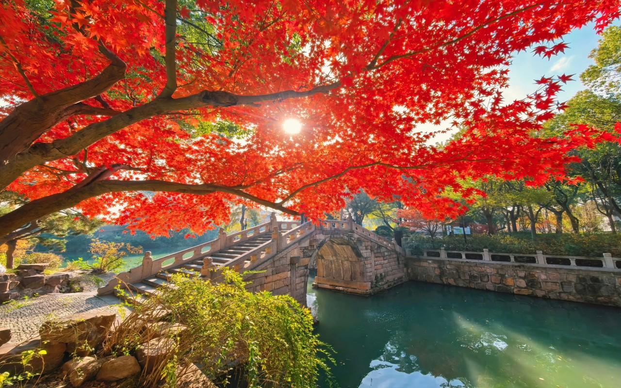 Shanghai to Suzhou One Day Private Tour with Bullet Train 3