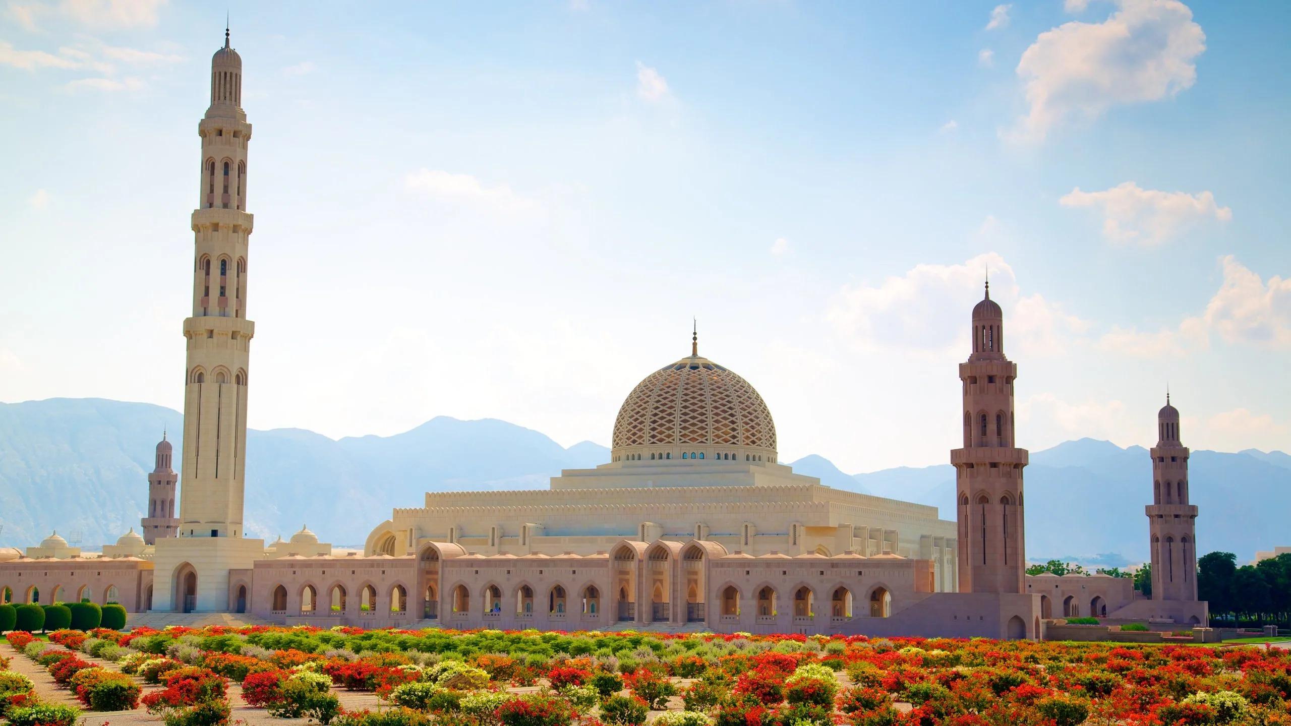 Muscat: Full-day Tour with Sunset Dhow Cruise & Local Lunch