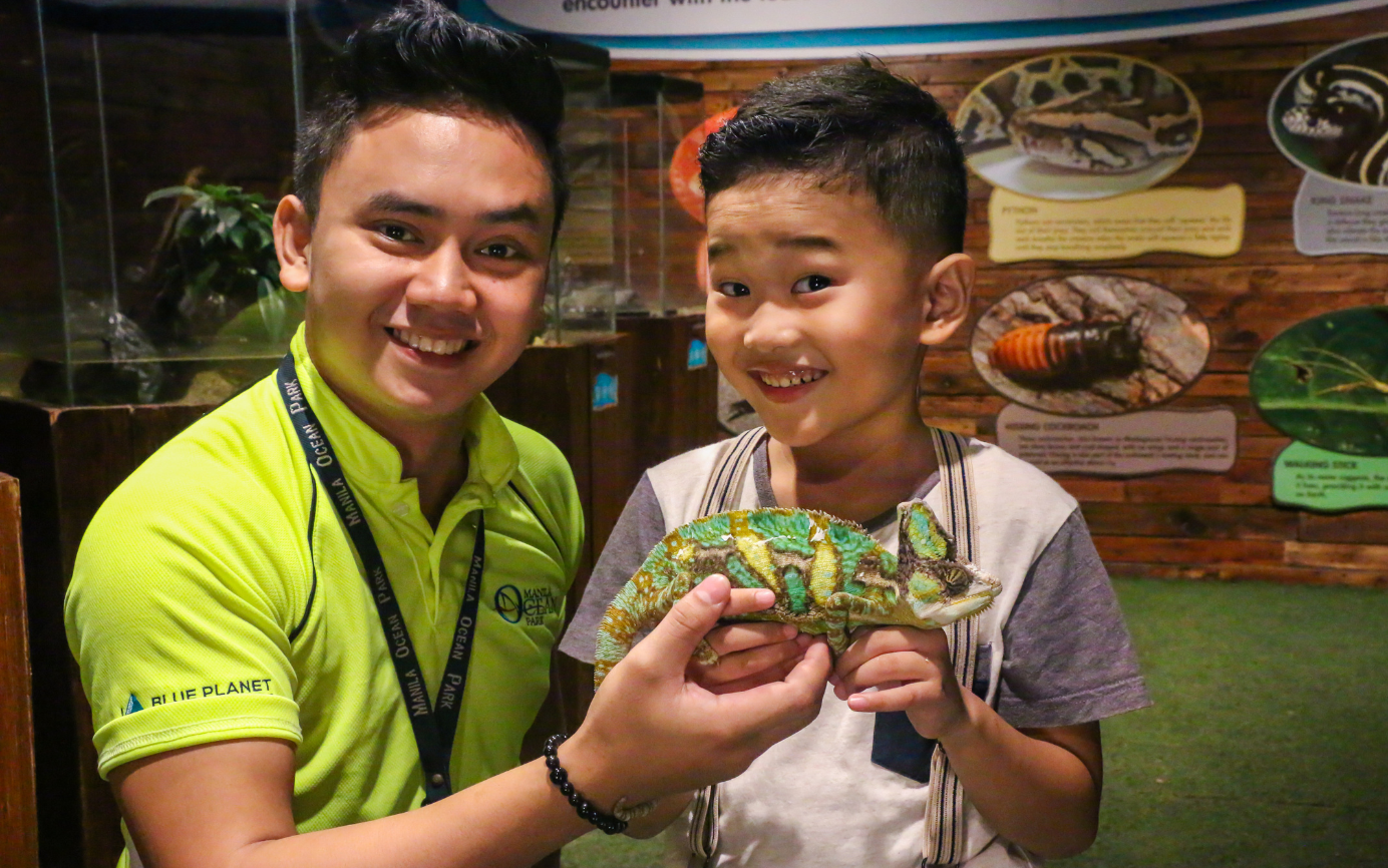 Ocean Park Admission Ticket with 8 Attractions 3