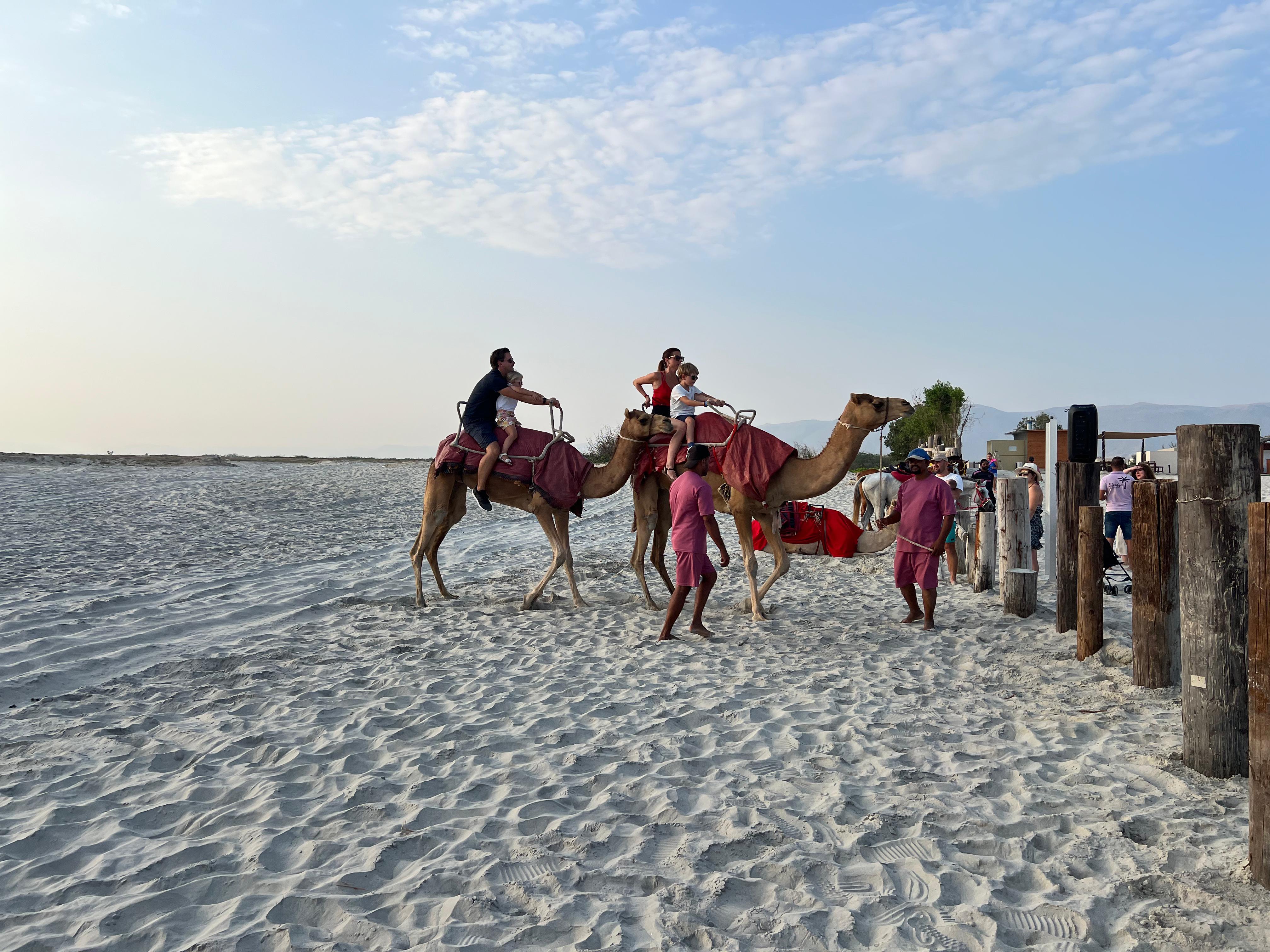 Salalah: Camel Riding on the Beach 3