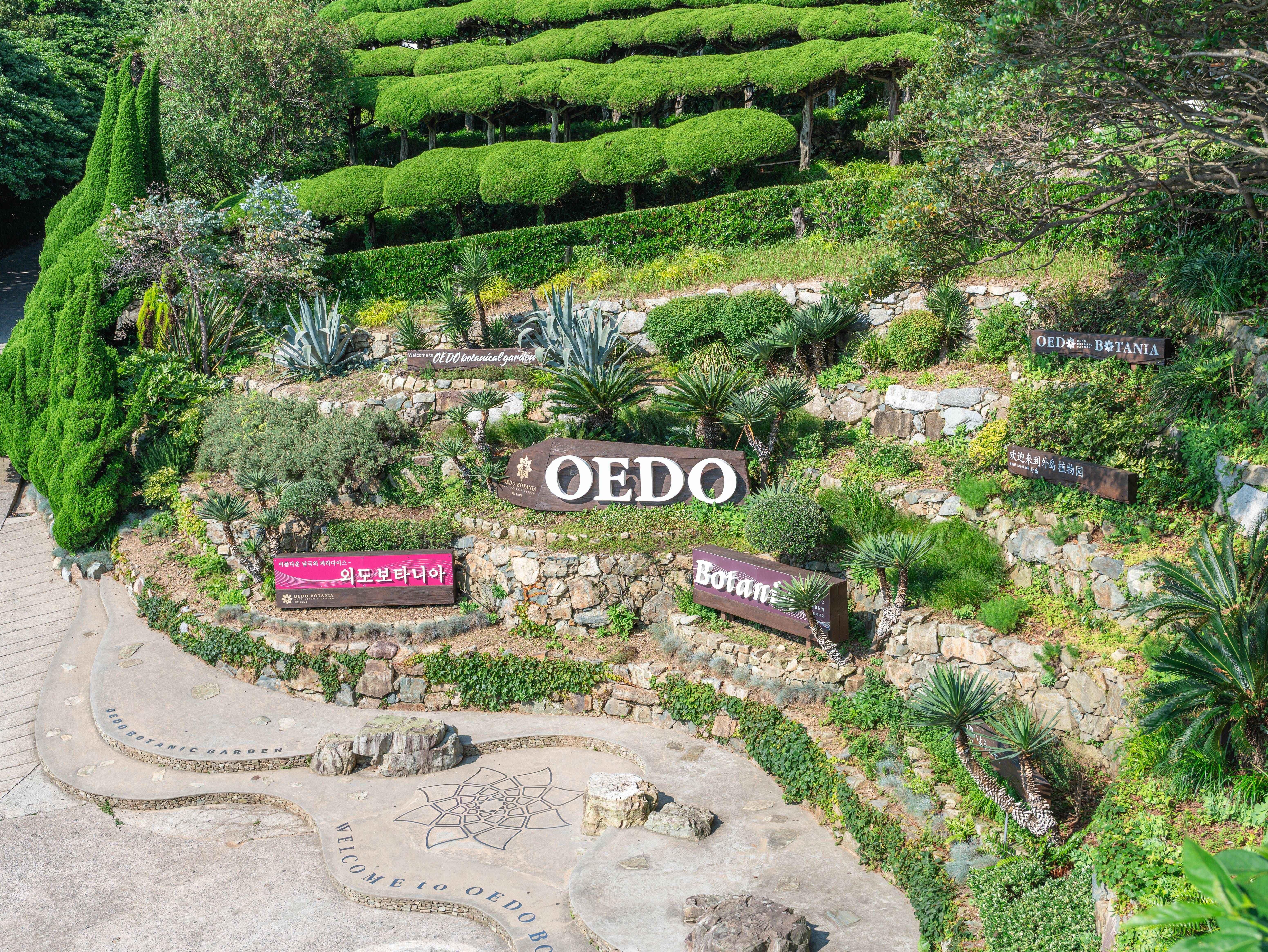 Oedo Island Botania & Geoje Private Day Tour from Busan 3