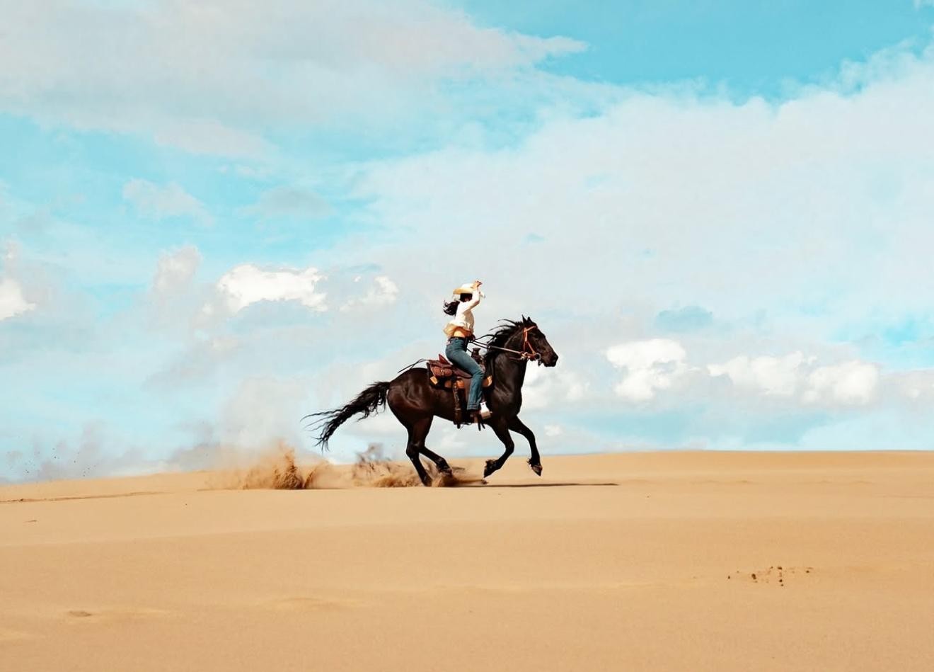 From Doha: Experience Horse Riding In Qatar Desert 2