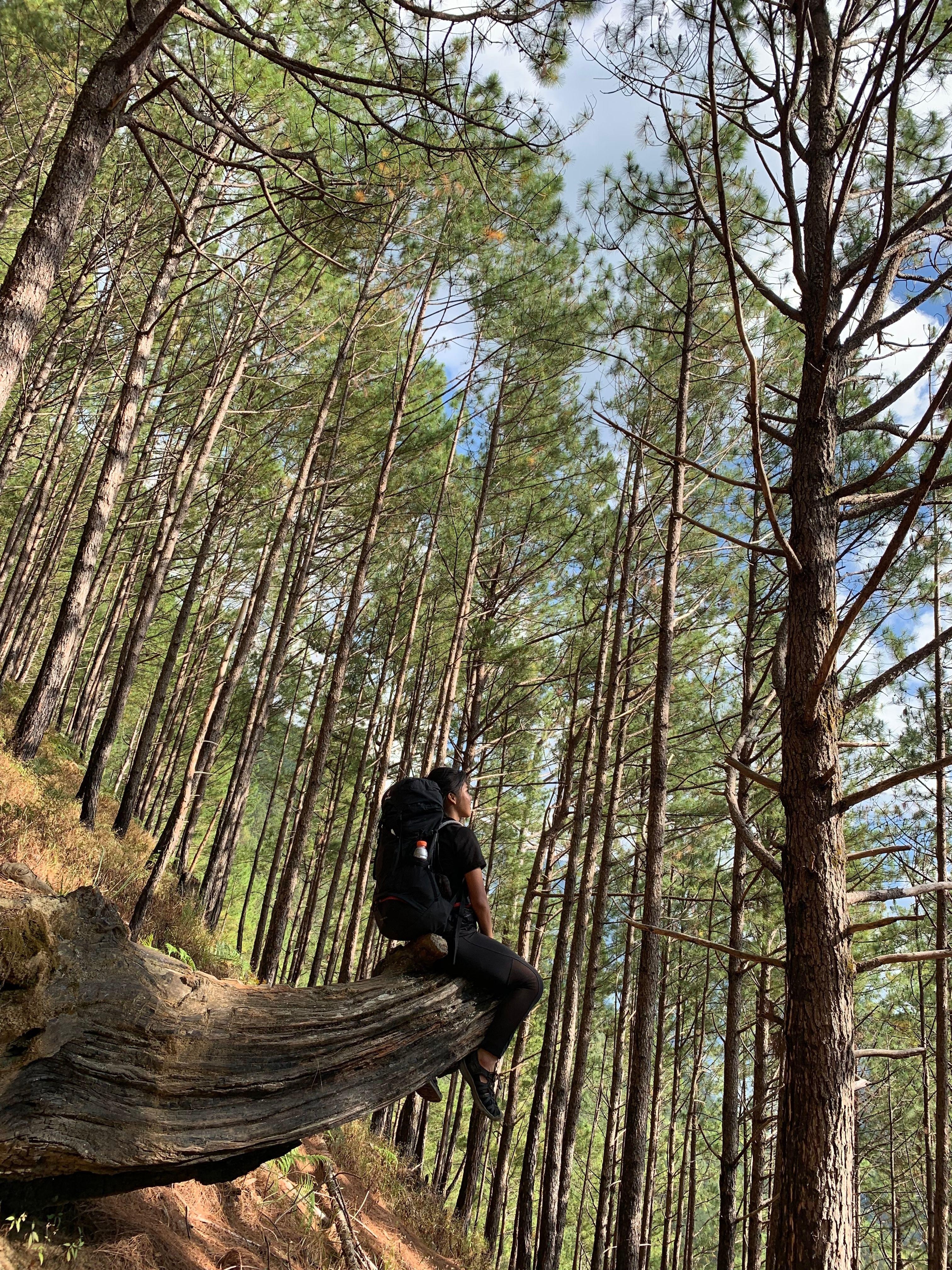 From Tbilisi: Kazbegi Mountains Day Trip with Lunch & Hike 3