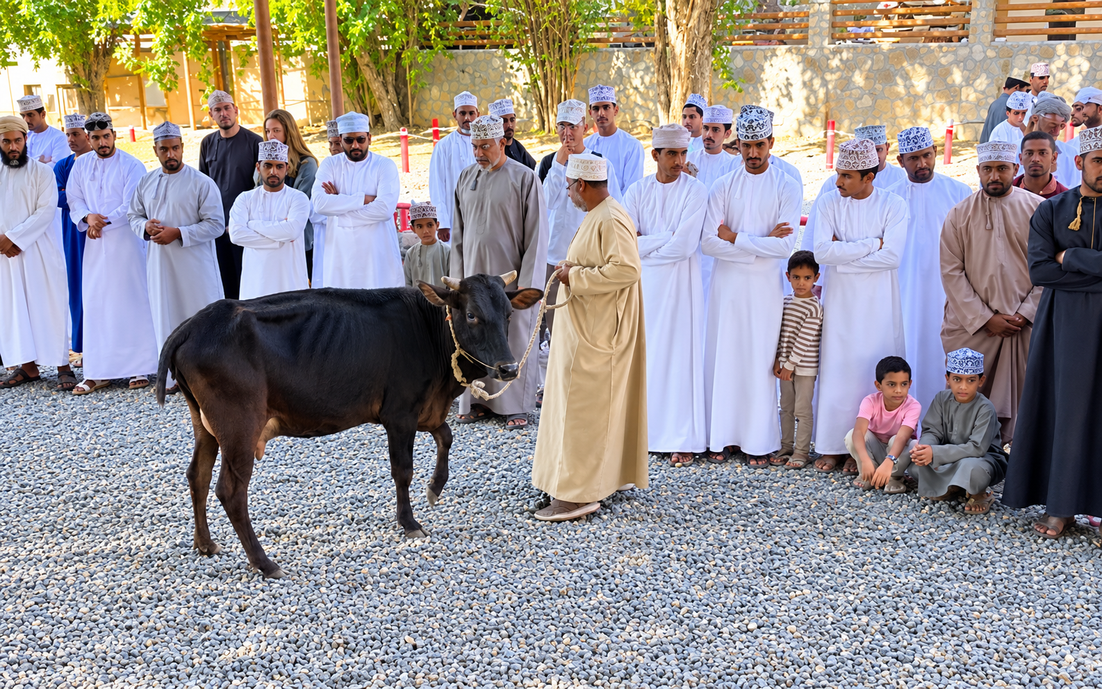 Friday Cattle Market, Nizwa, Birkat Al Mouz & Jebel Akhdar