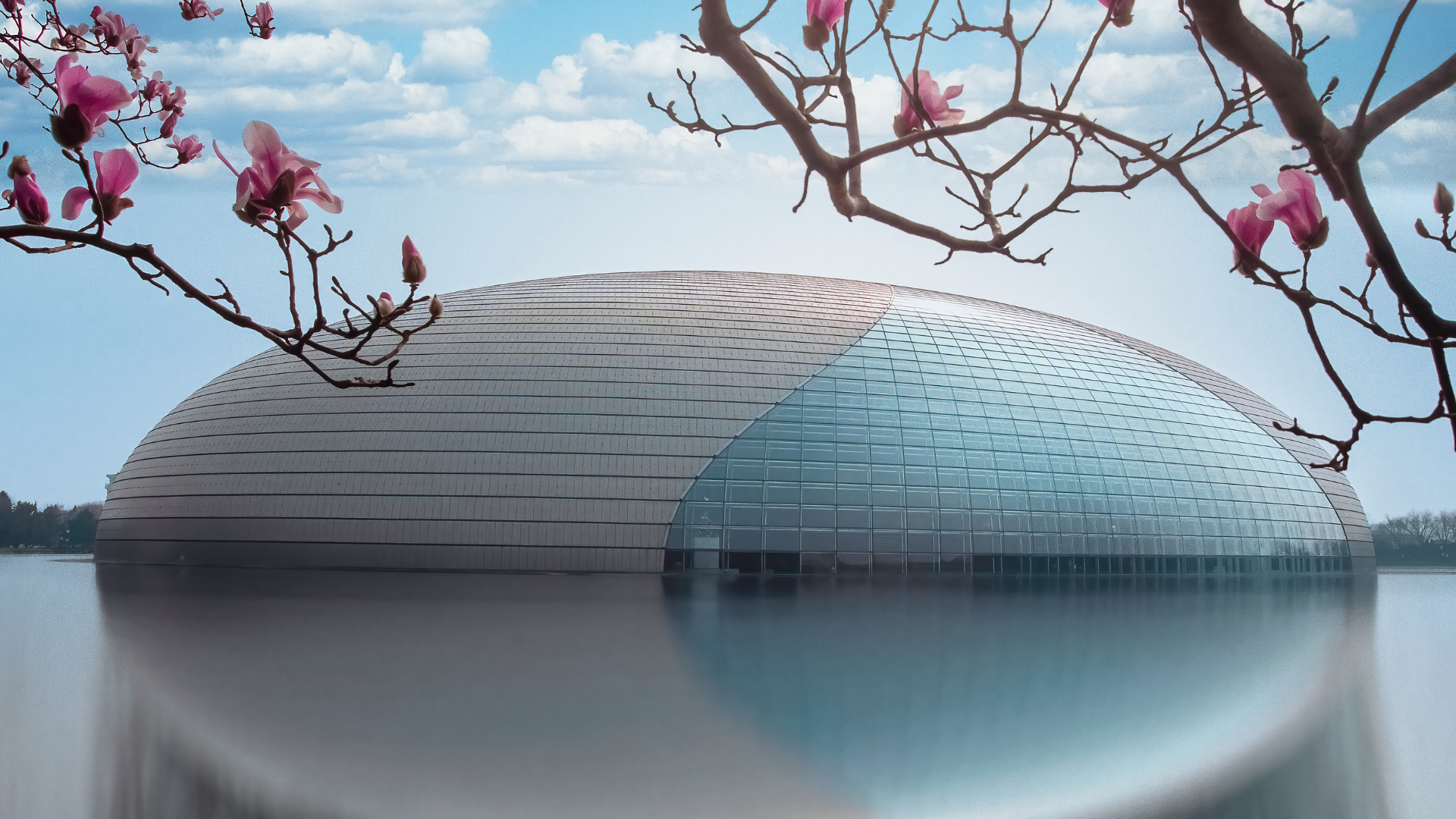 Beijing: Natinonal Center For The Peformance Arts Ticket 2