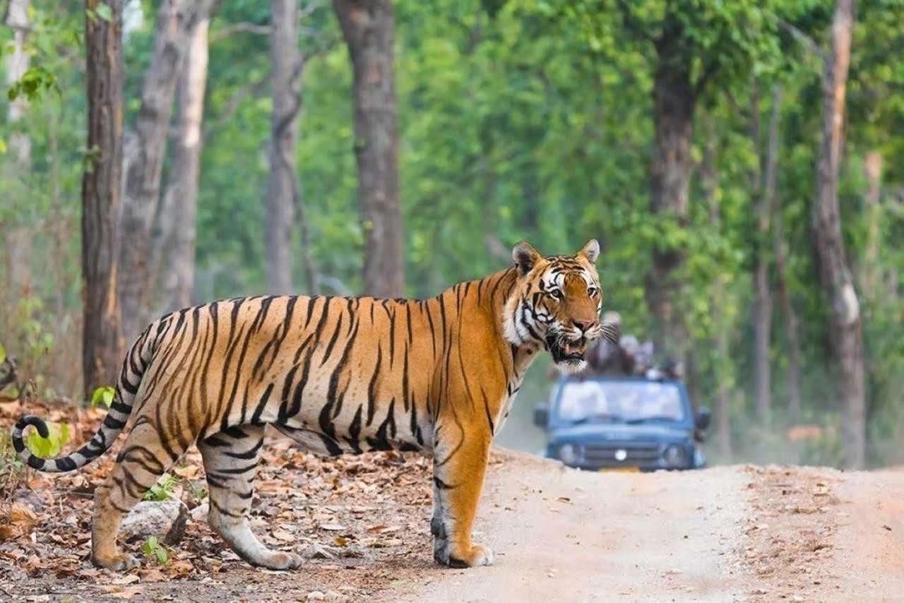 Delhi: 2-Day Ranthambore Safari by Car with Hotel 2