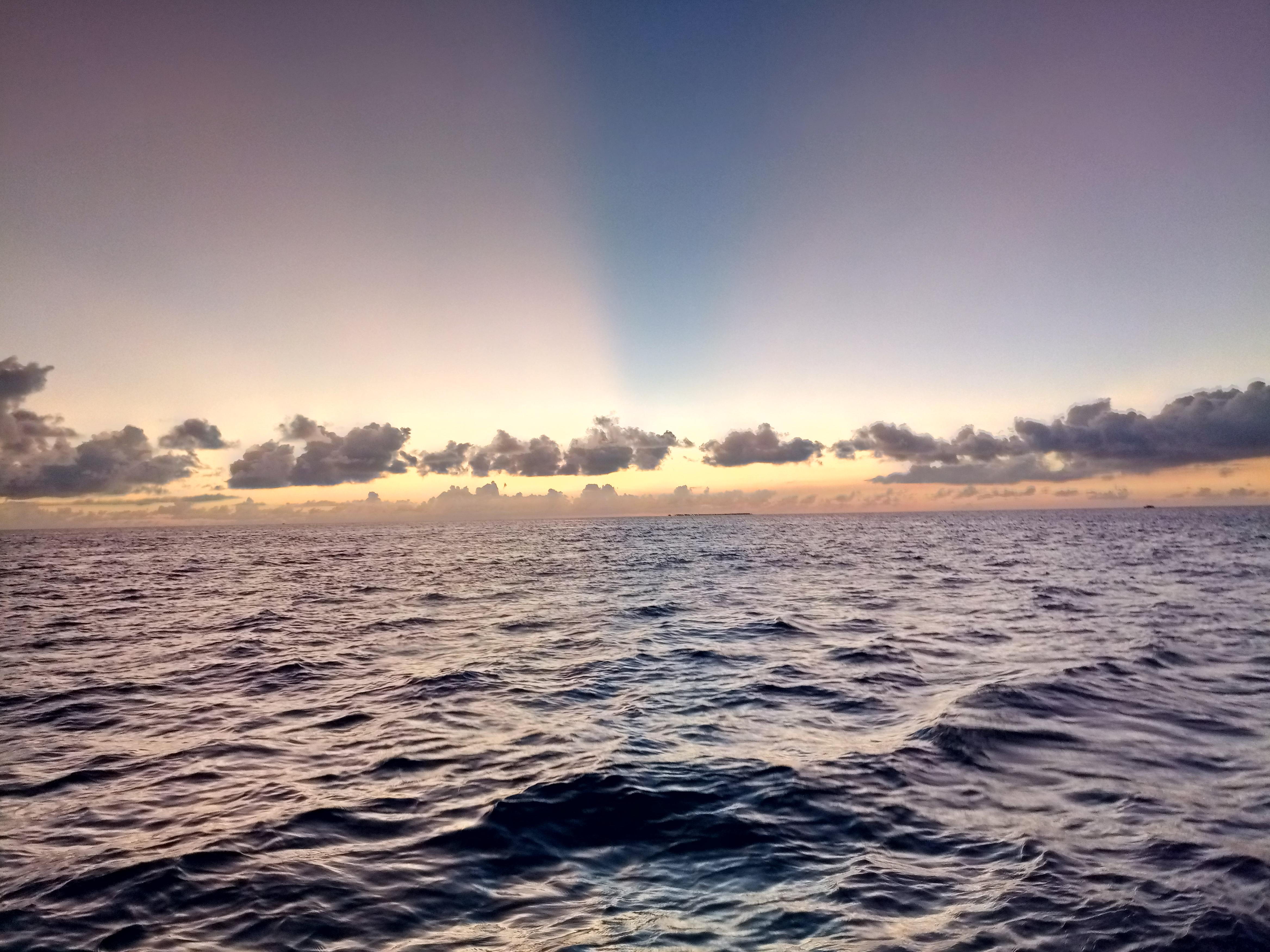 Maldives: Sunset Cruise with Dolphin Watching 2