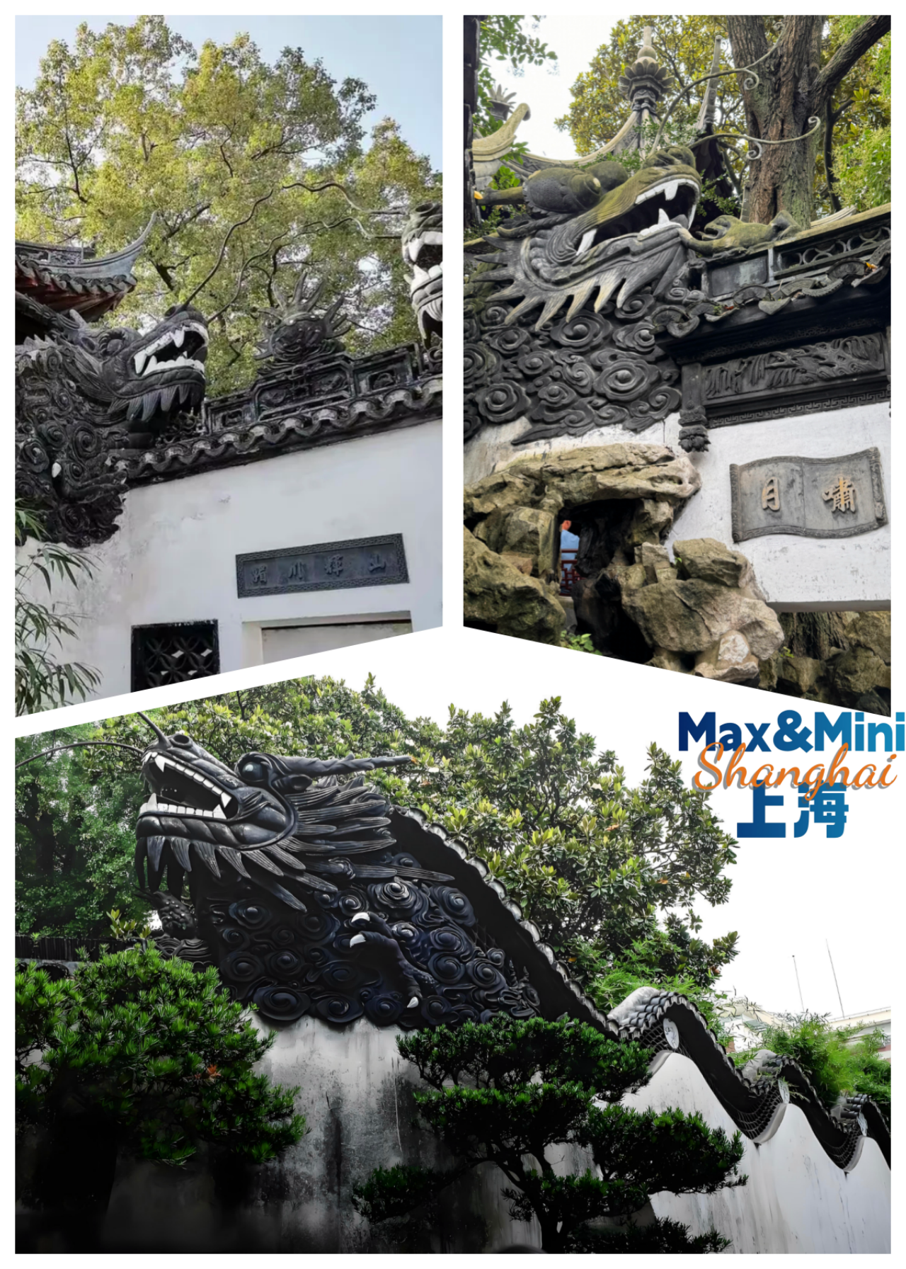 Yu Garden Aesthetics Decoded: Crowd-Free Private Walk Tour