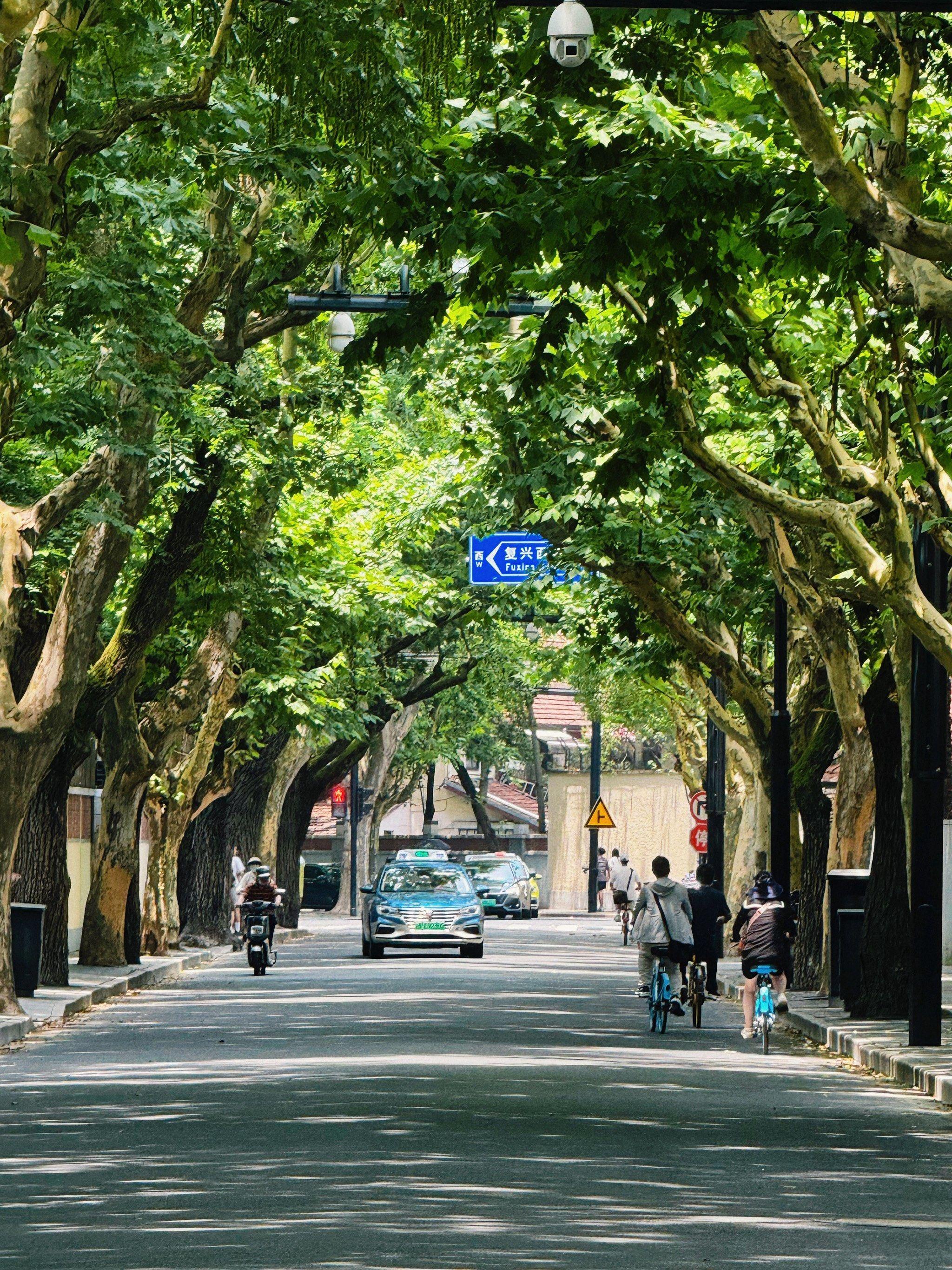 Shanghai: Guided Tour with Soong Ching Ling Memorial Entry