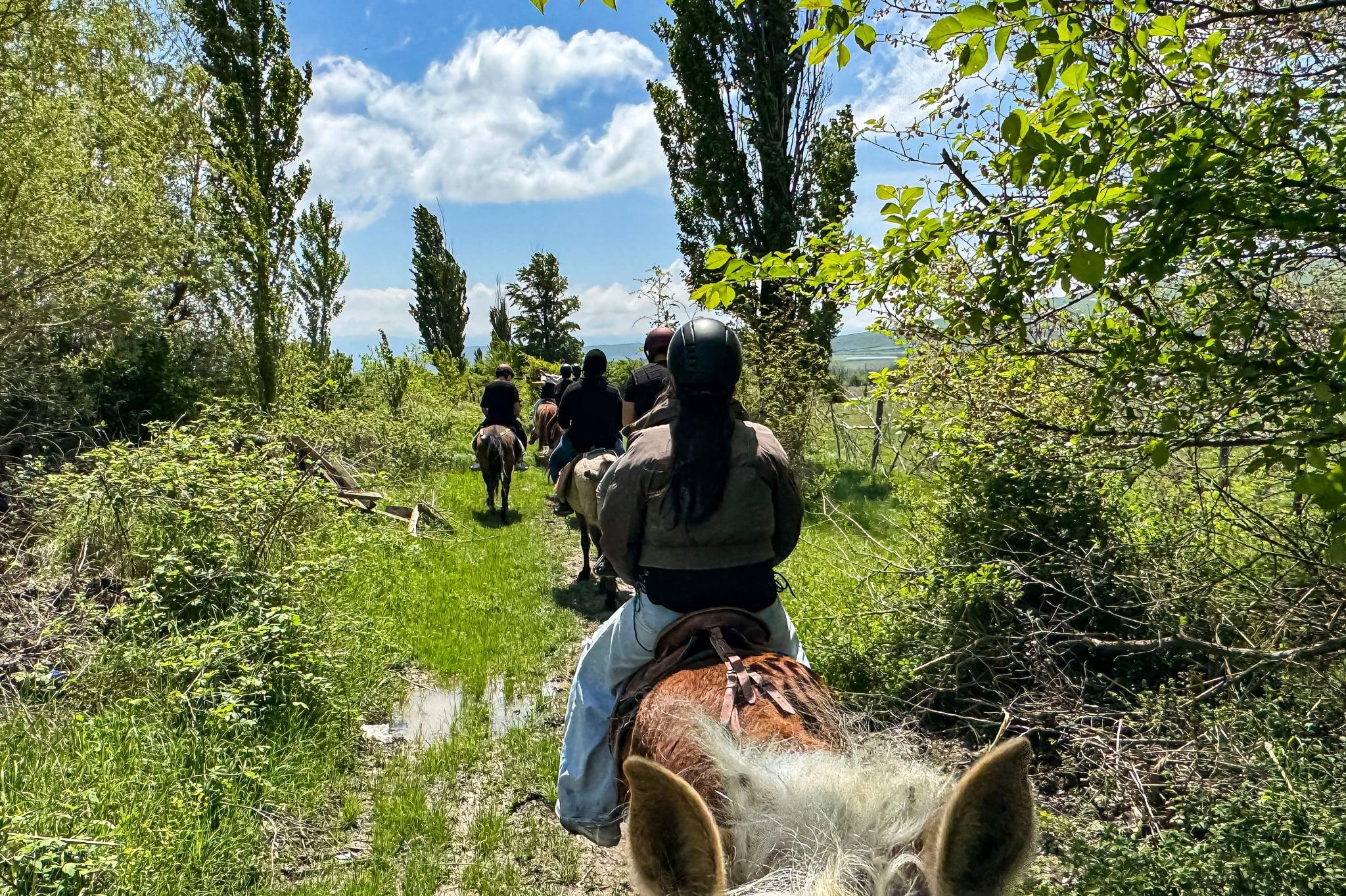 2-hour horse riding tour at Palomino Ranch Near Tbilisi