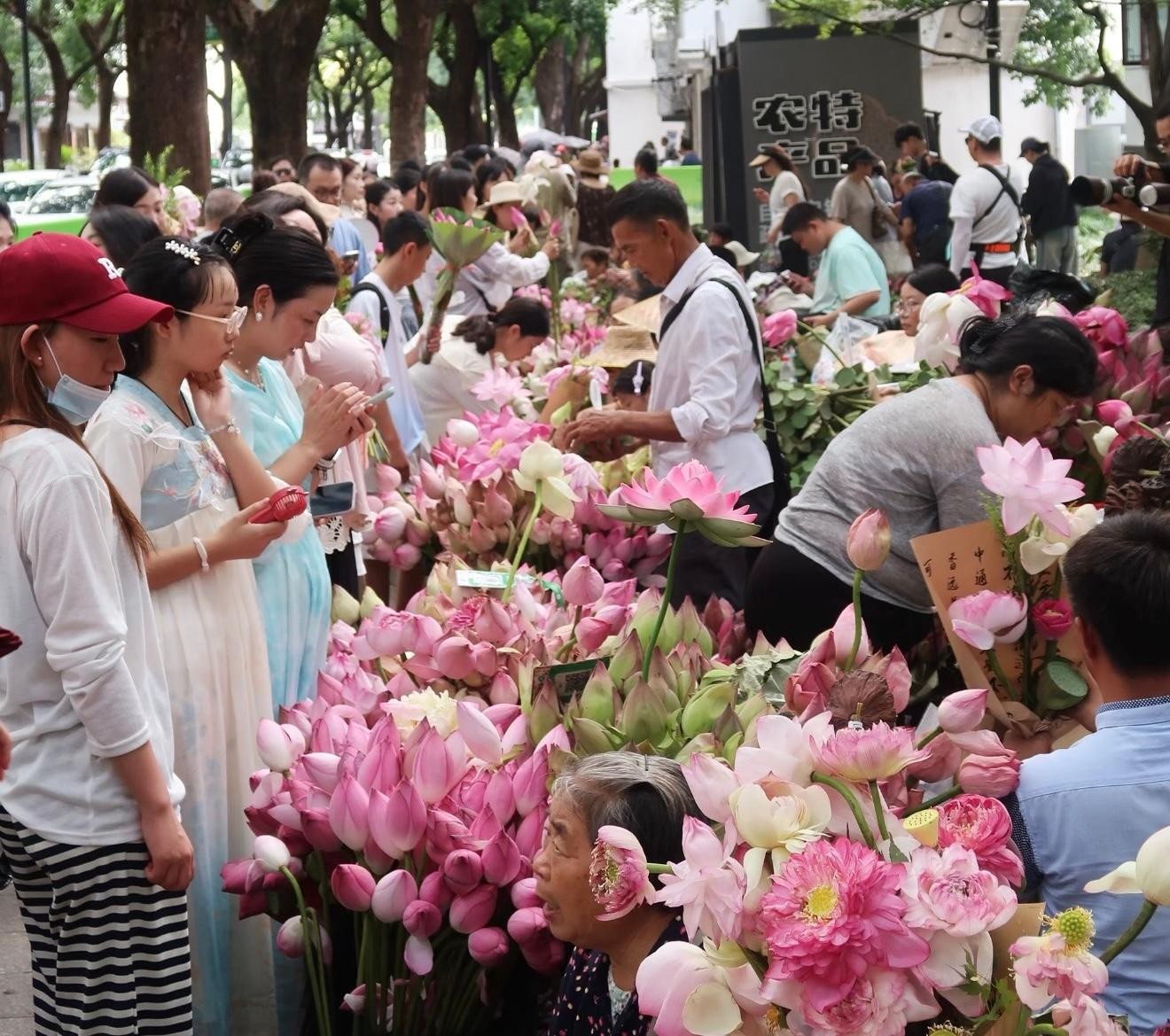 From Shanghai: Suzhou Day Trip with Lotus Market & Boat Ride 2