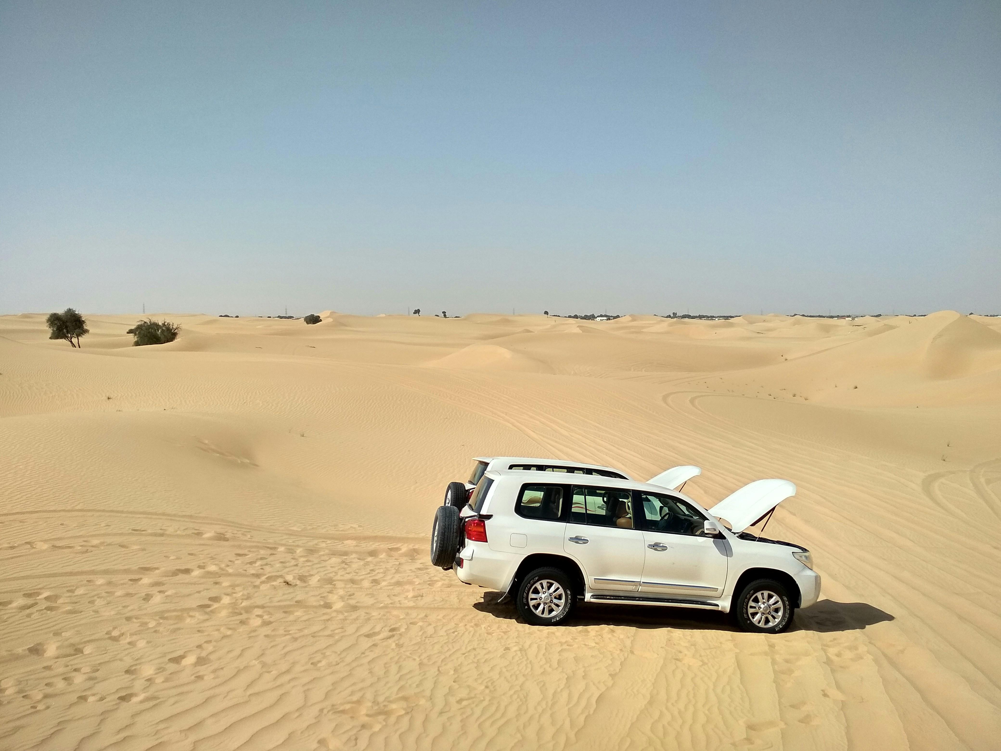 Doha: Full-Day Desert Safari with Lunch/Dinner, Camel Ride 3