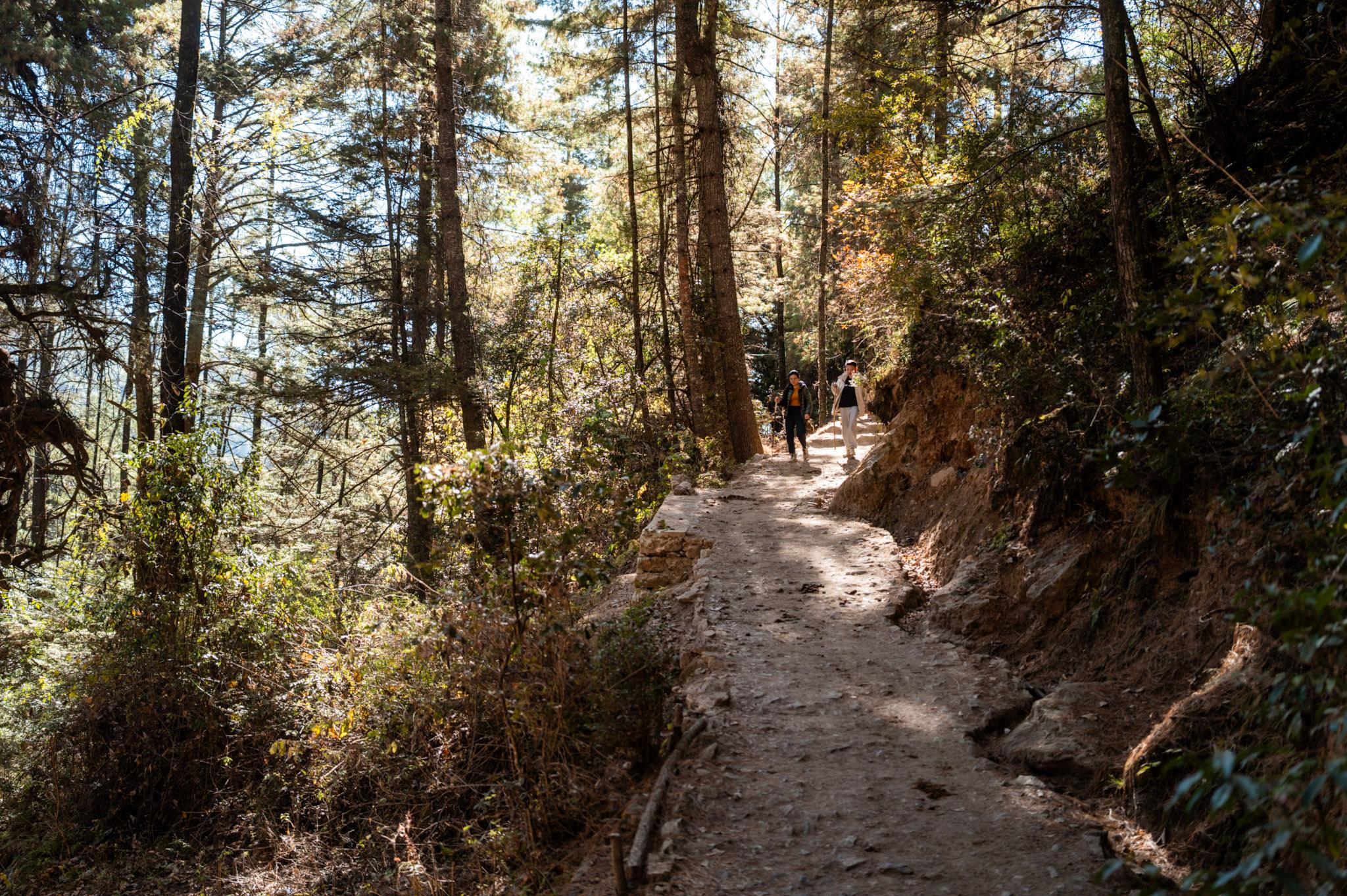 Paro: Guided Hike to Tiger's Nest Monastery w/ Entry Ticket 3