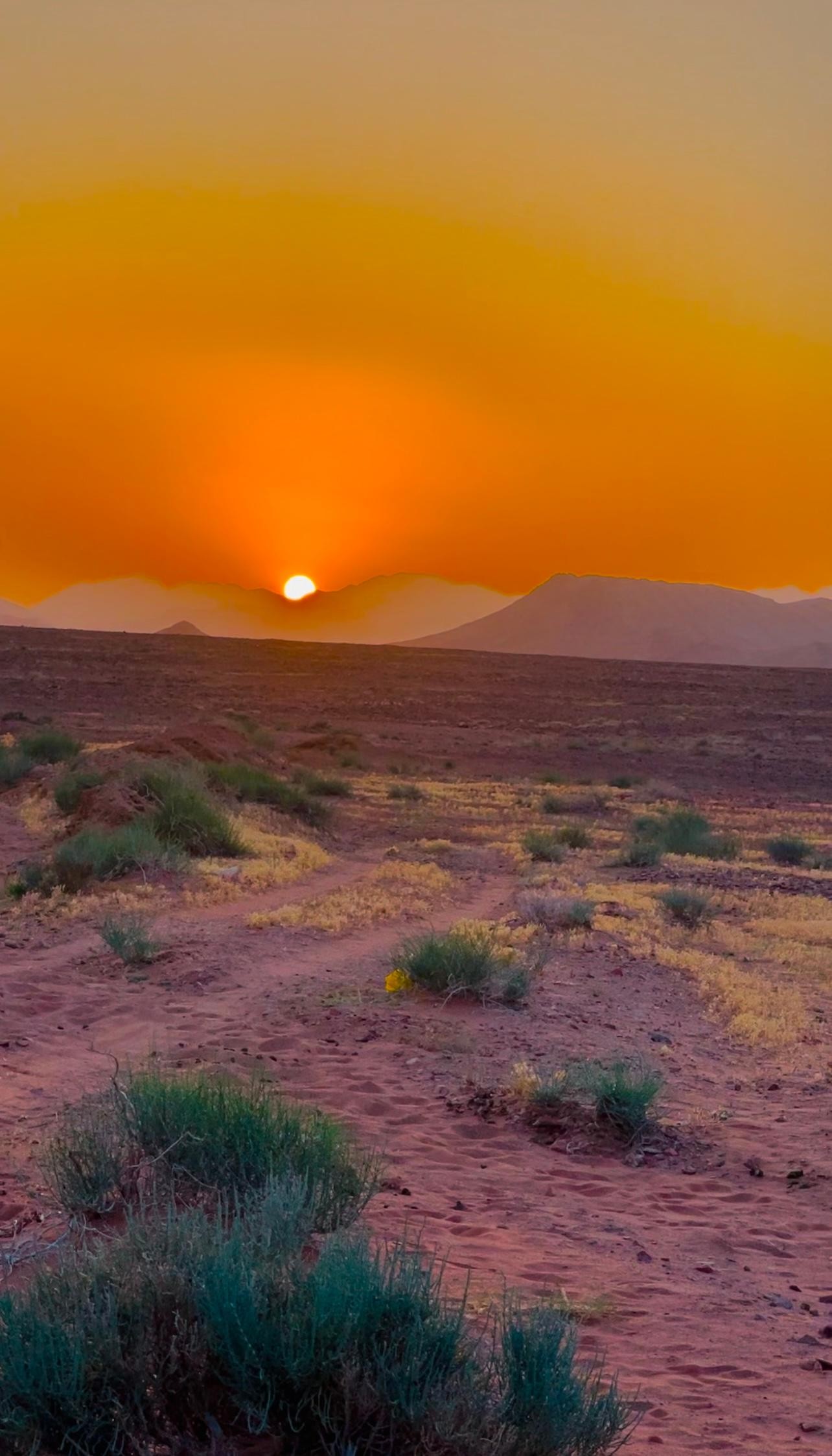 Wadi Rum: Half-Day Jeep Tour with Bedouin Guide 2