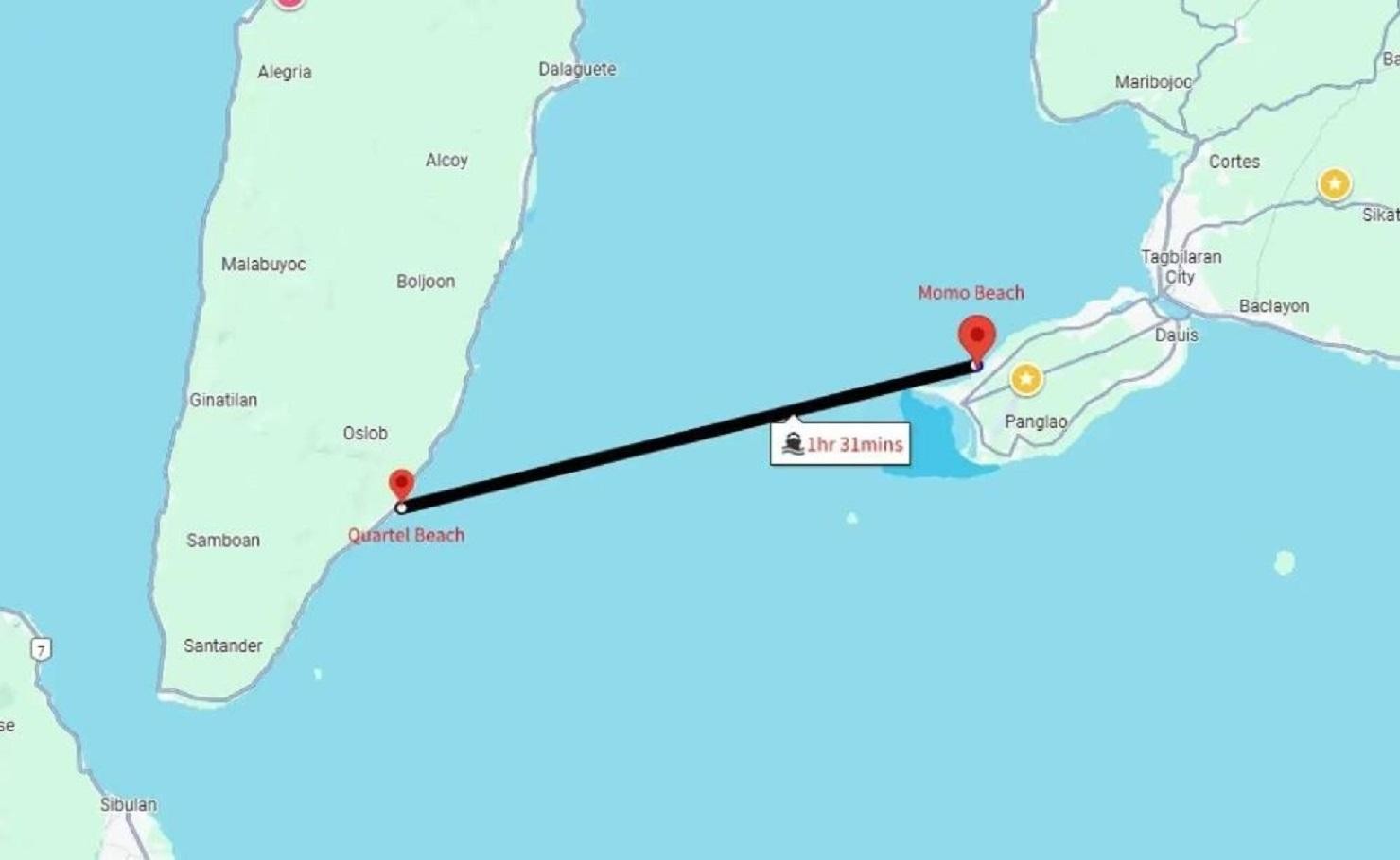 From Bohol: Oslob Ferry for Morning Whale Shark Tours 2