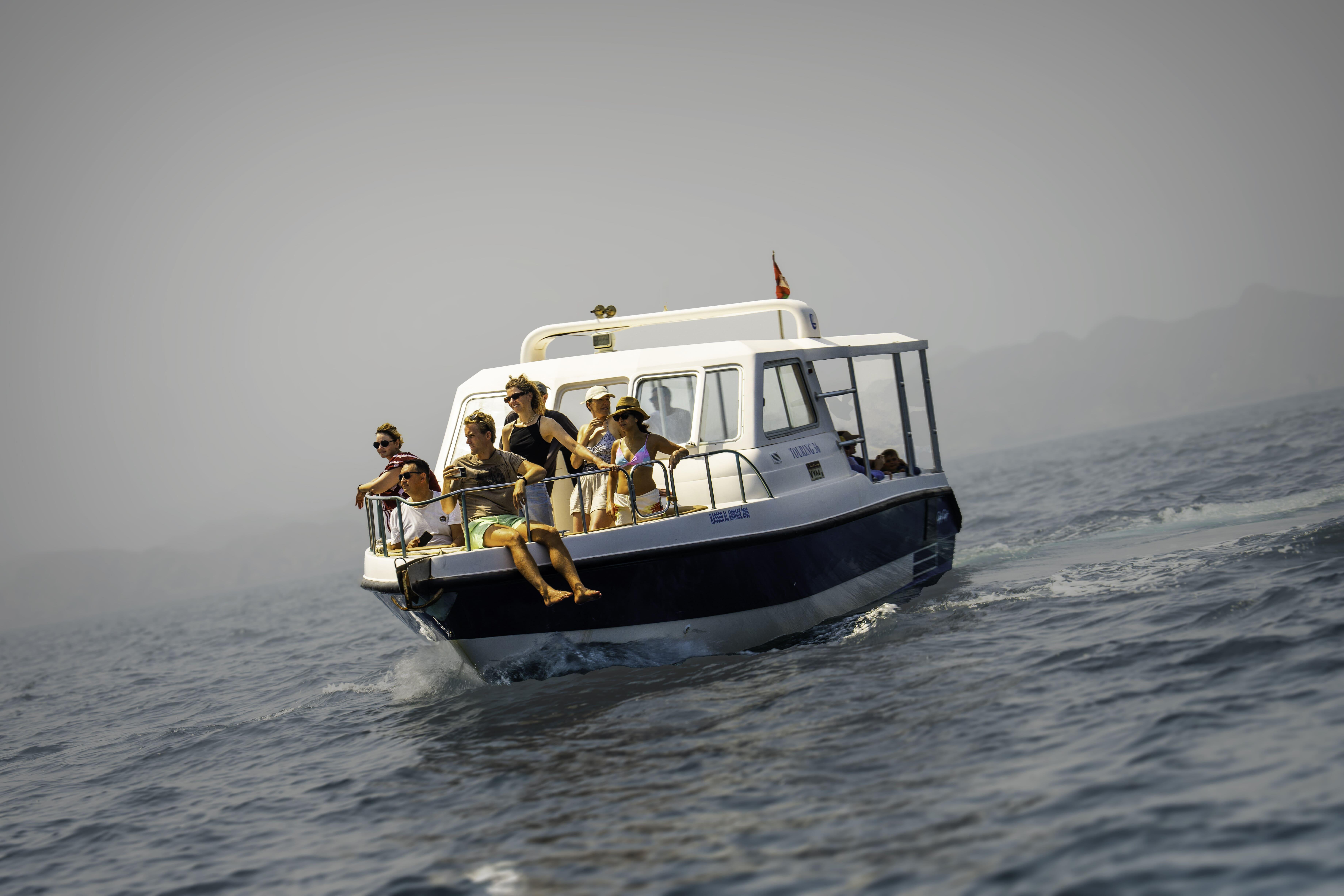 Muscat: Dolphin Watching Boat Trip in Their Natural Habitat 2