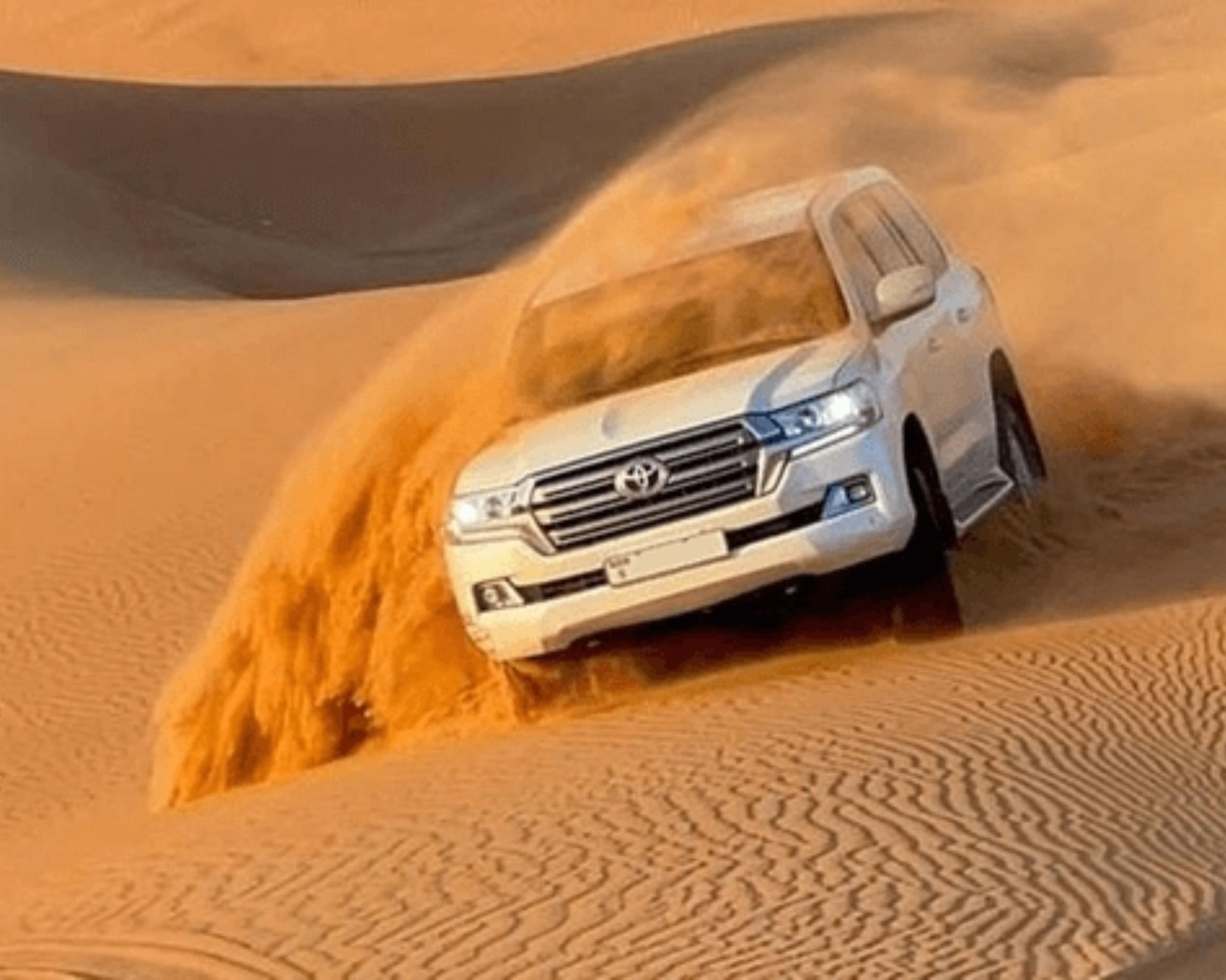 Doha: Safari, Camel Ride, Sandboarding and Inland Sea Tour