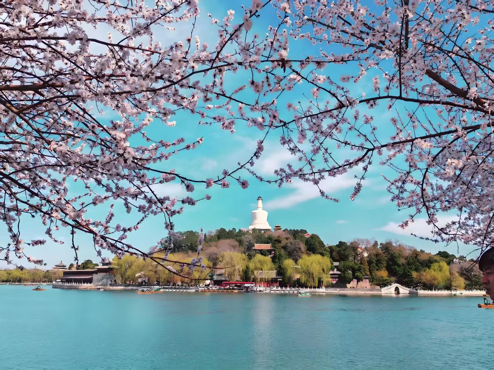 Beijing: Beihai Park | Confucian Temple Admission Tickets 2