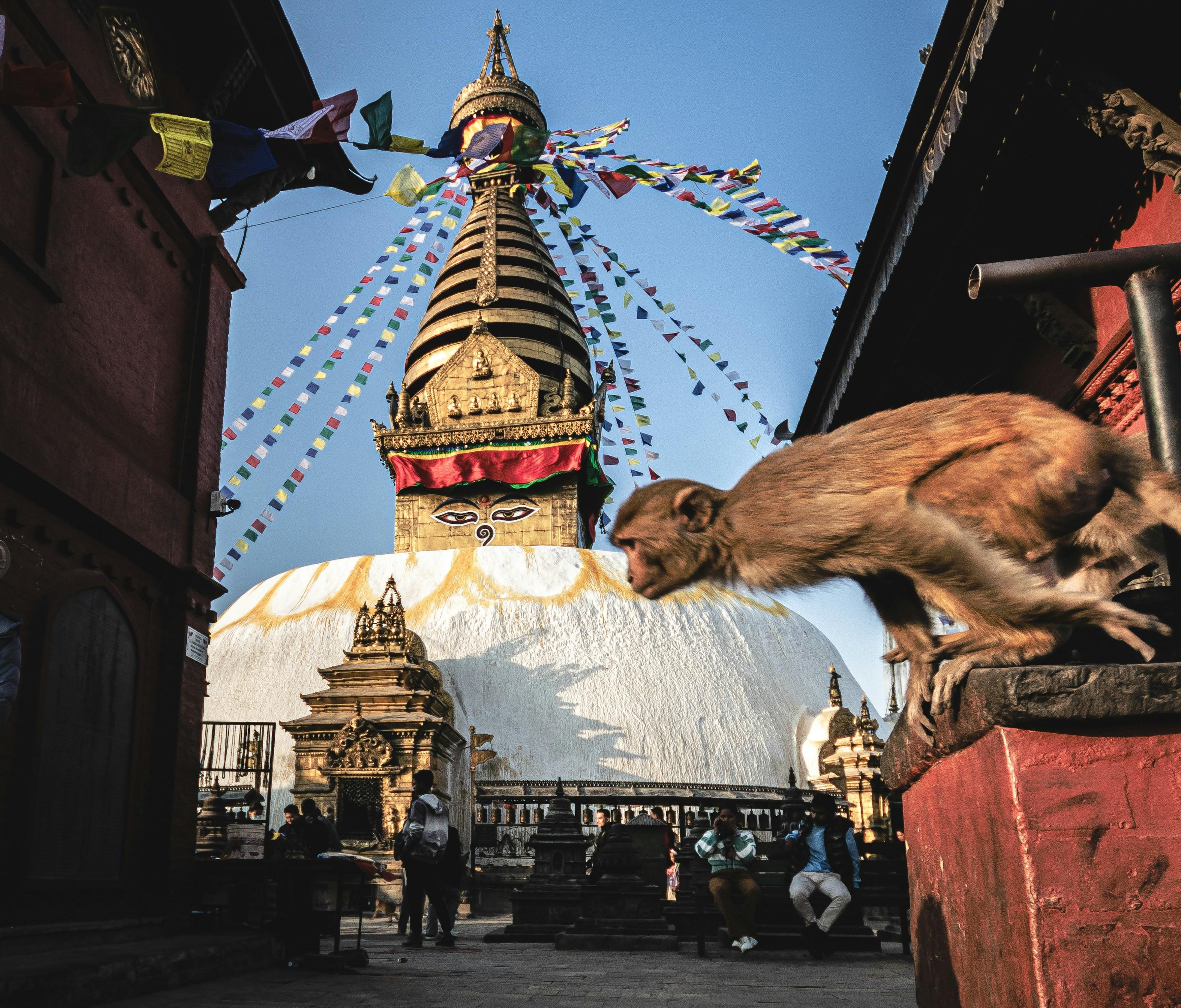 Kathmandu: 7 UNESCO city group day tour with Audio Guide 2