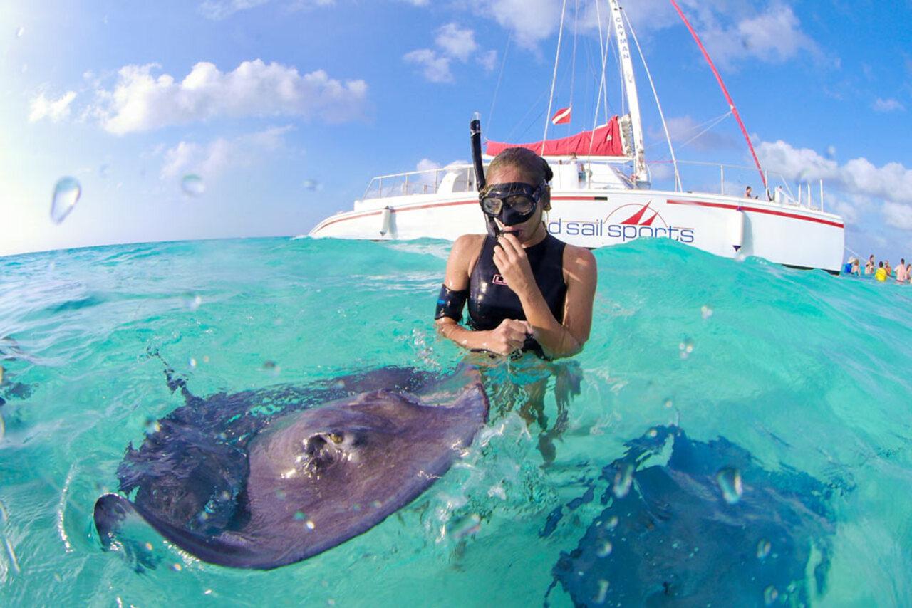 Private Stingray Snorkeling Tour