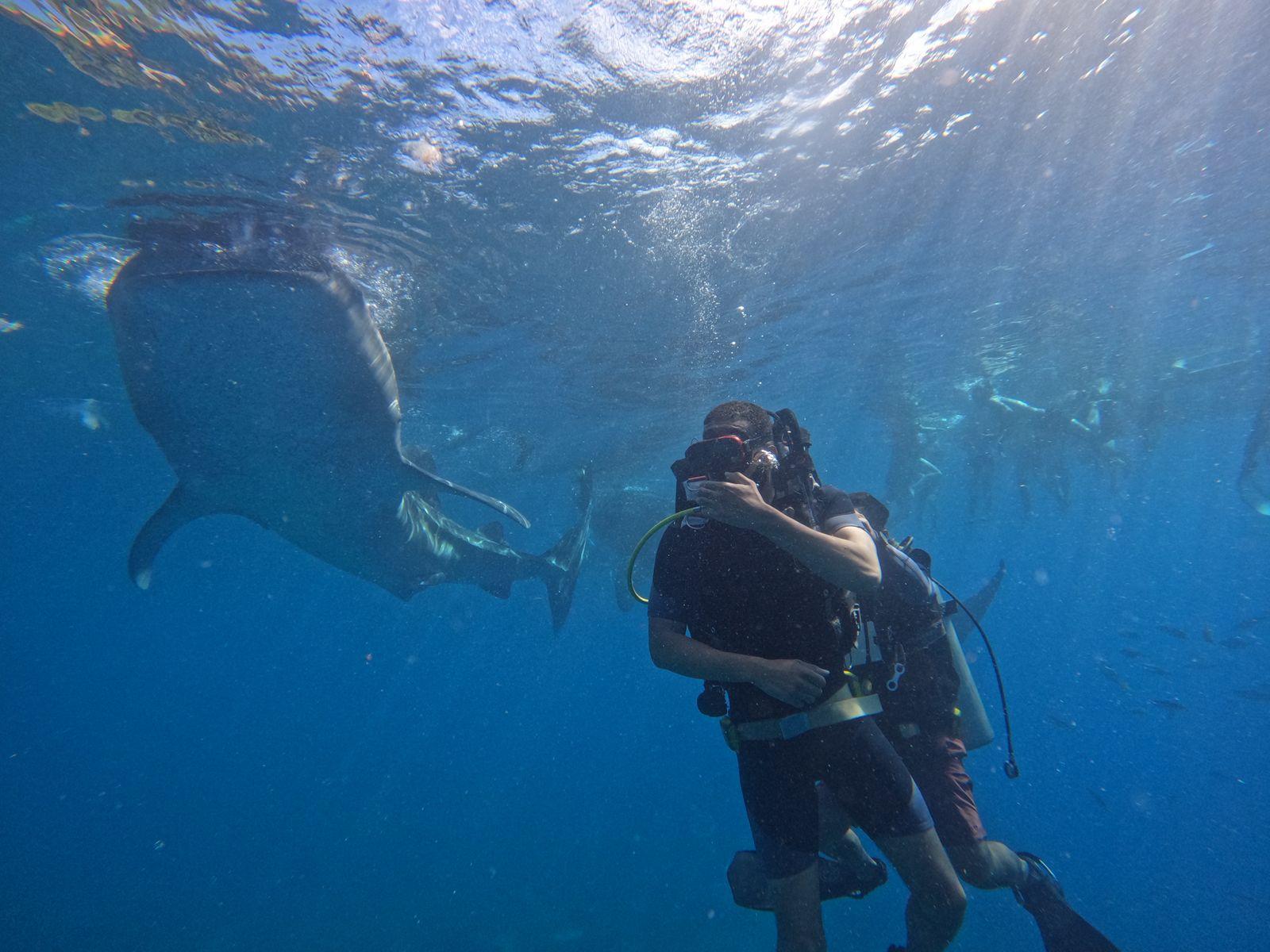 Cebu: Whaleshark Experince, Waterfalls & White Sand Wonders
