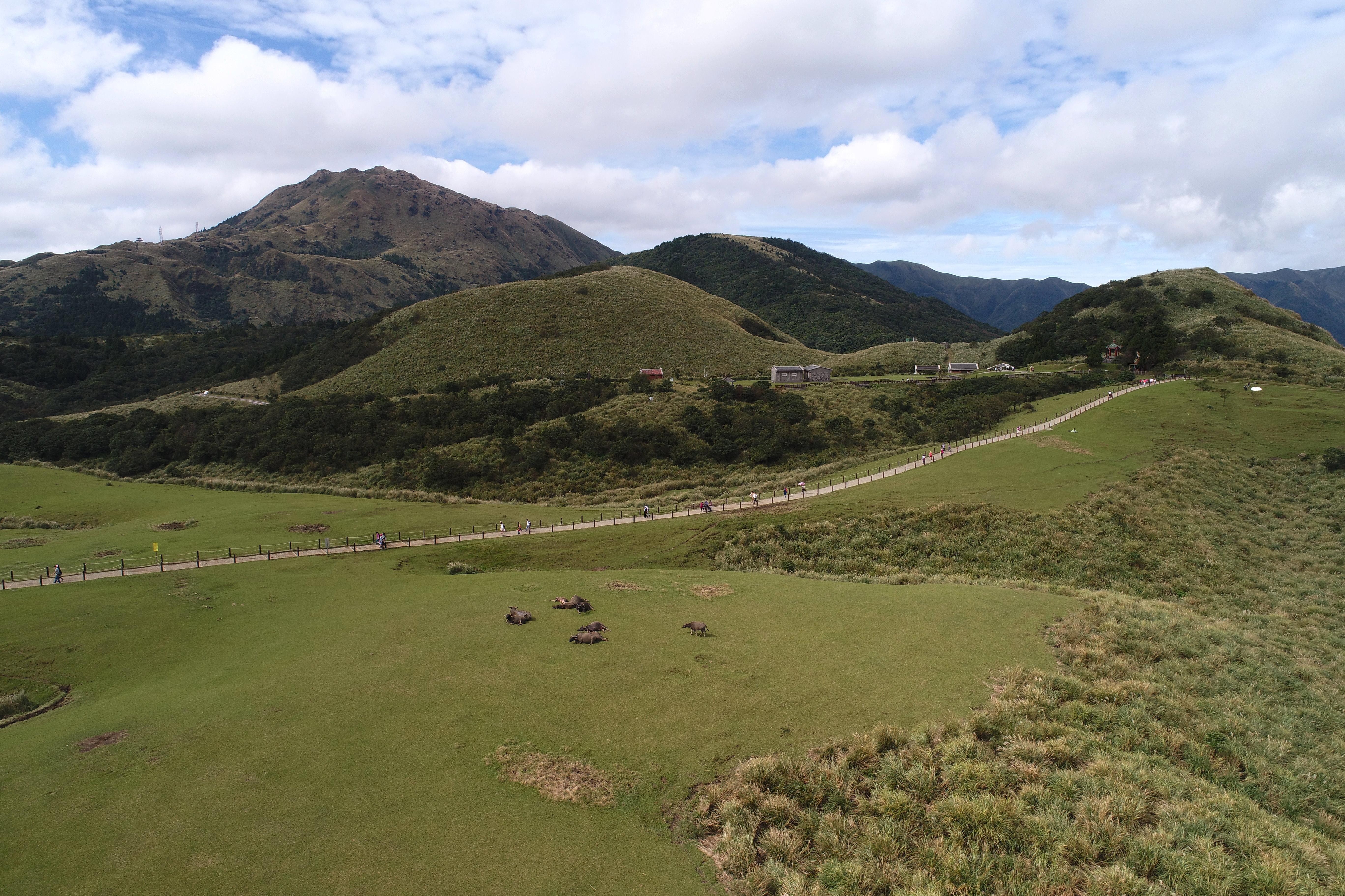 Taipei: Yangmingshan & National Palace Museum Full-Day Tour
