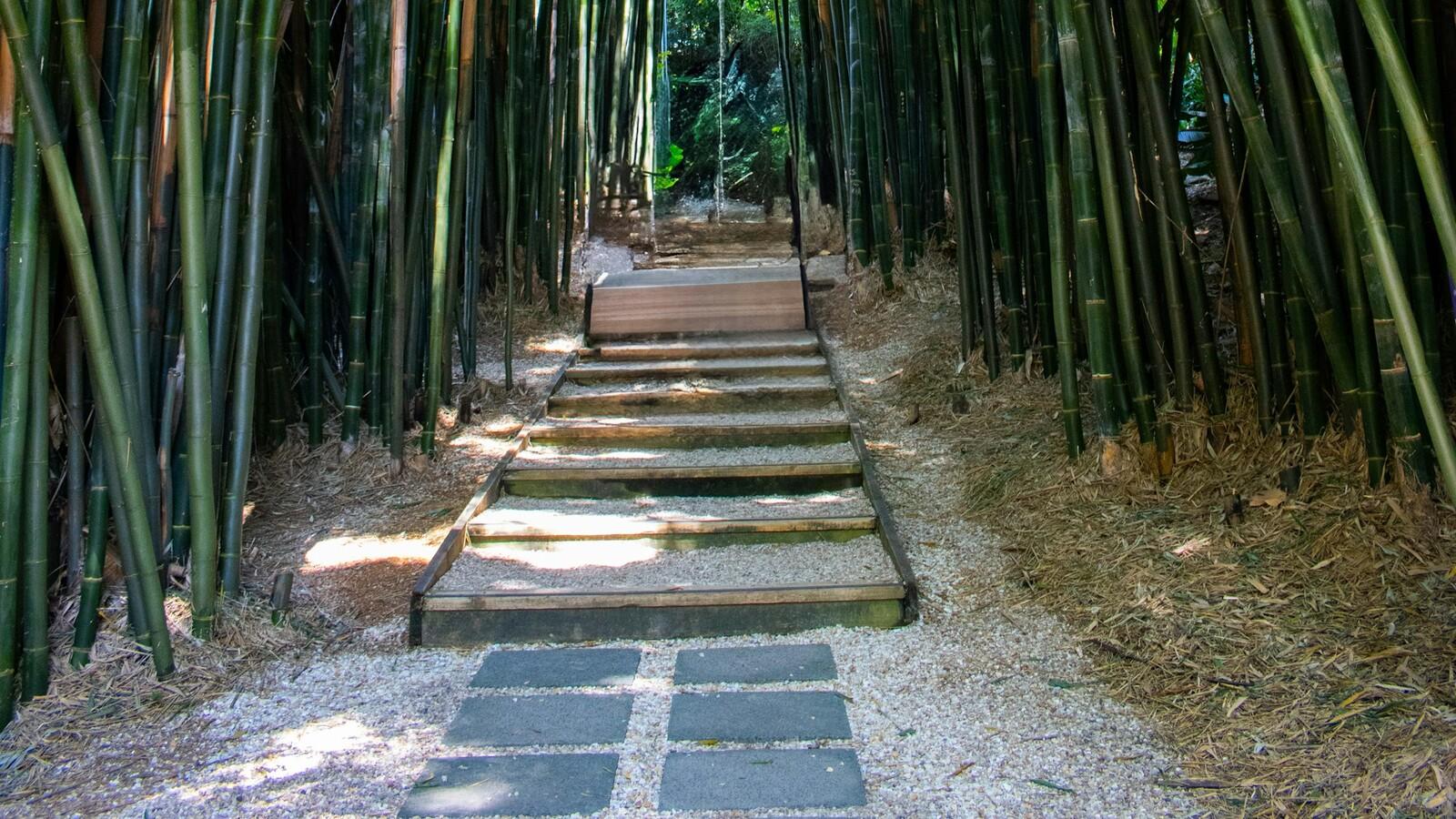 Shanghai: Shangqing Ancient Trail Private Day Trip 2