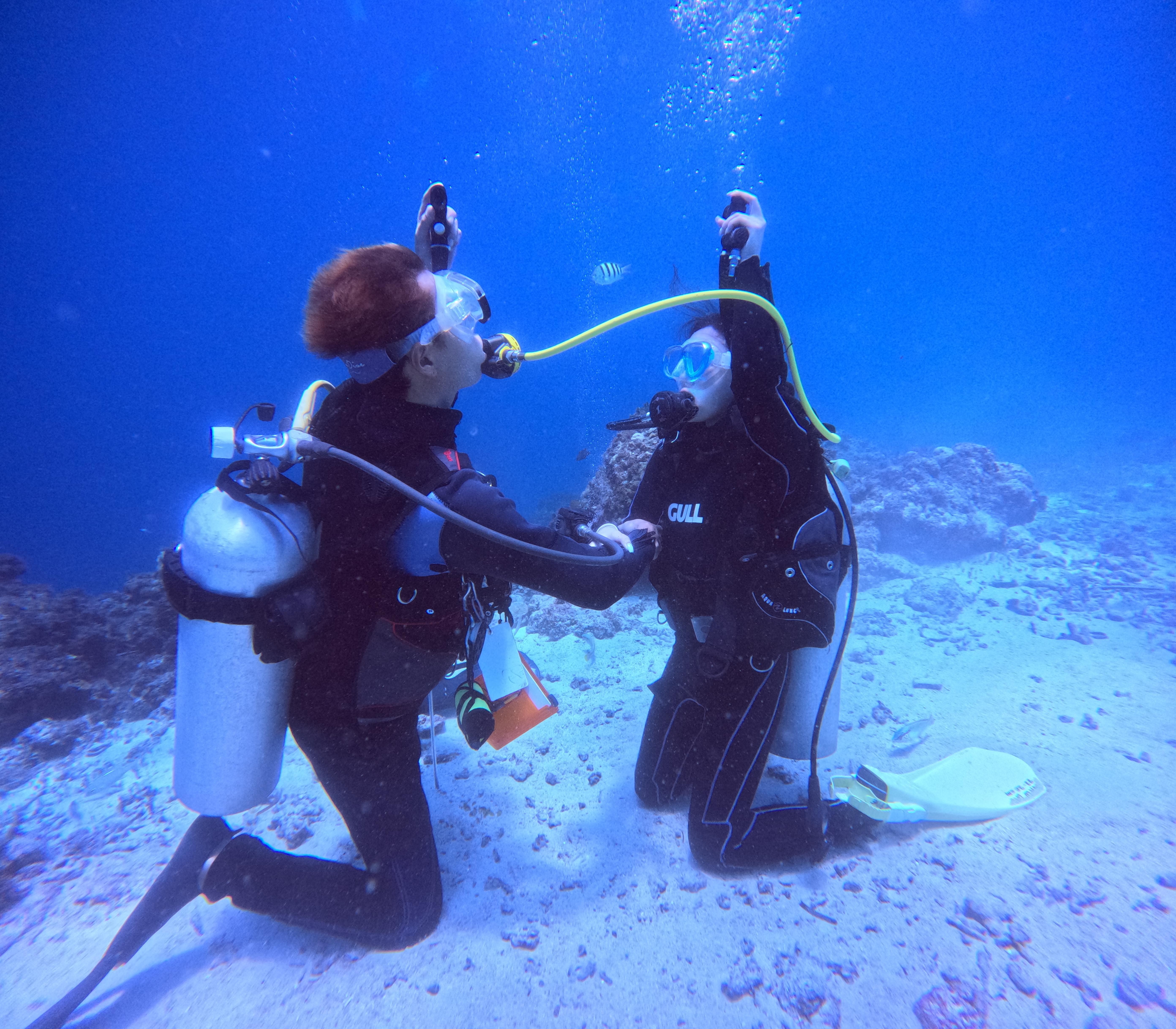 Cebu: PADI Open Water Certification Course