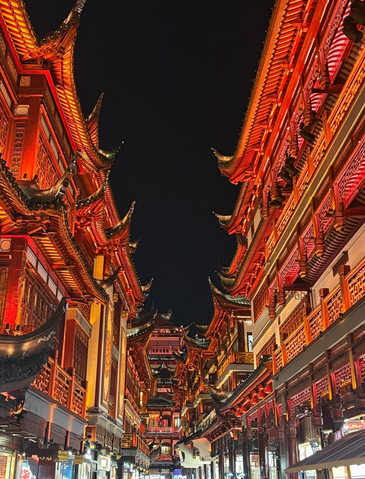 Shanghai: AI High Tech and Yuyuan Old Street Night Tour 2