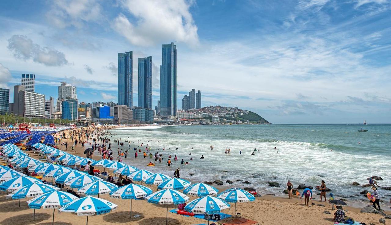 Busan: Hidden Gems, Beaches and Local Food Private Tour 3
