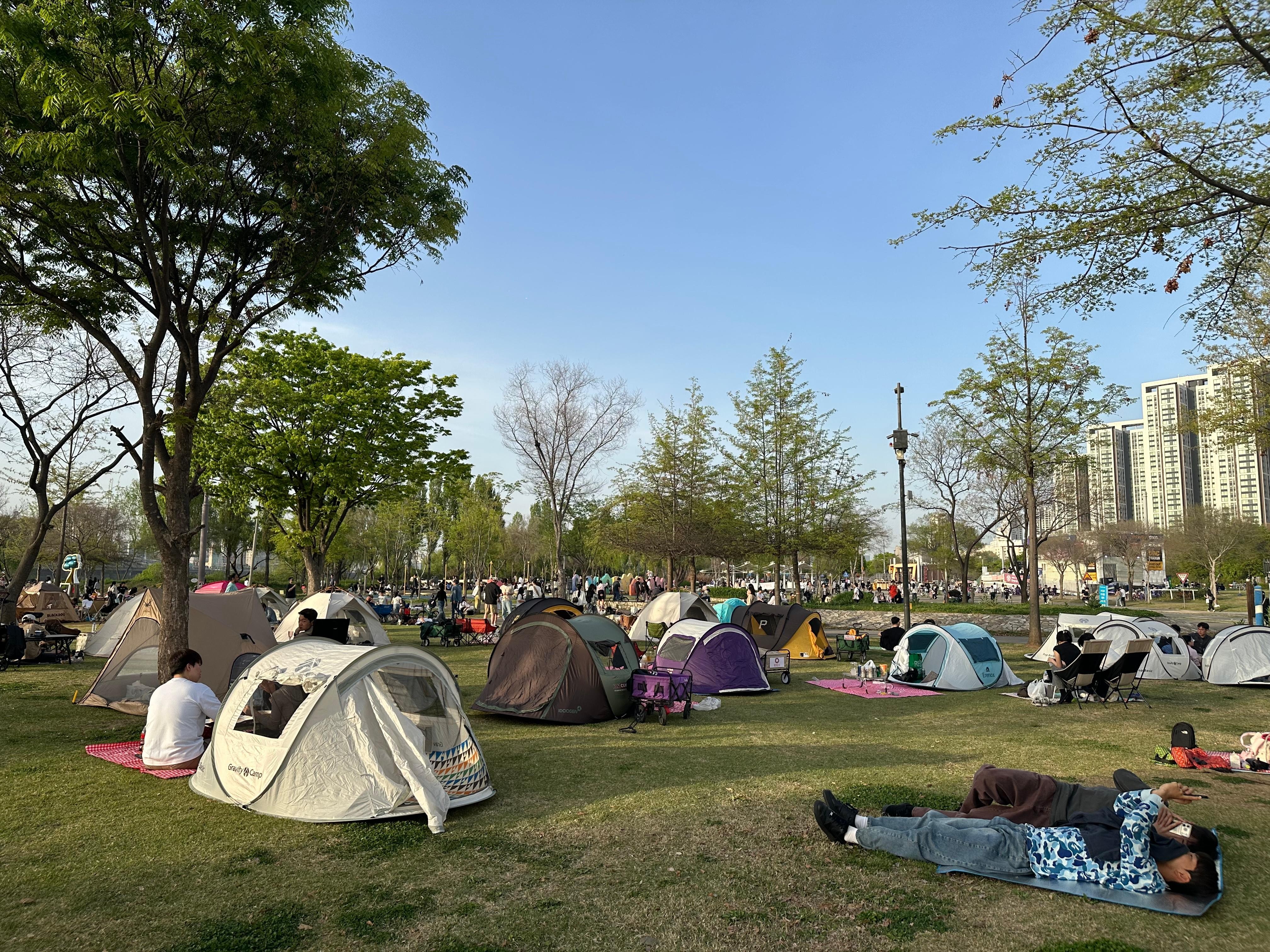 Seoul: Han River Sunset Picnic with Food and Night Walk 2