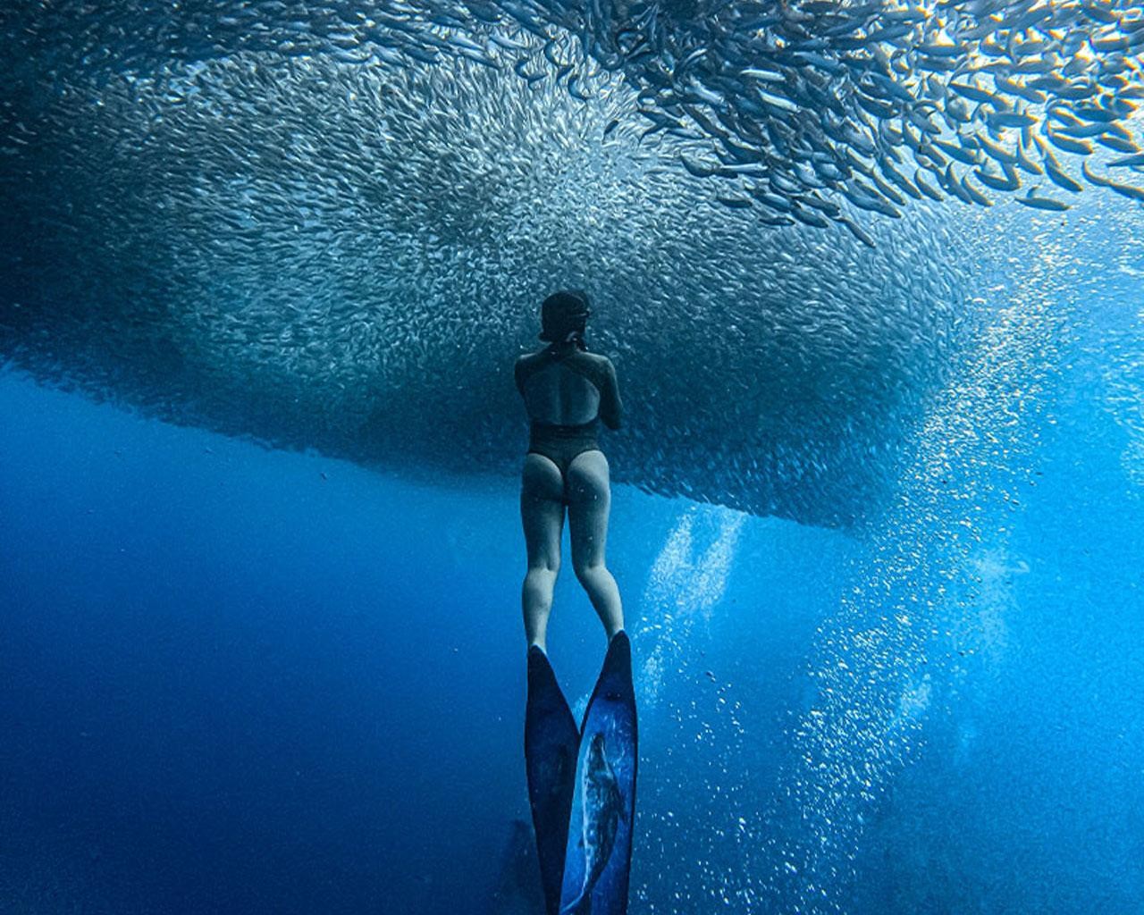 Panglao: Napaling Reef and Sardines Freediving Experience 3