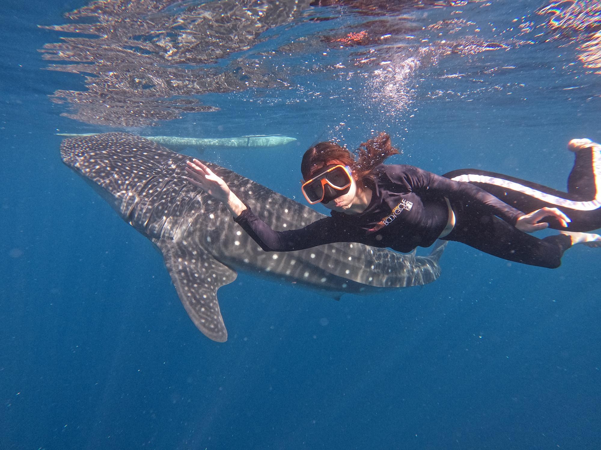 Cebu: Oslob Whale Shark, Tumalog Falls, and Sumilon Sandbar