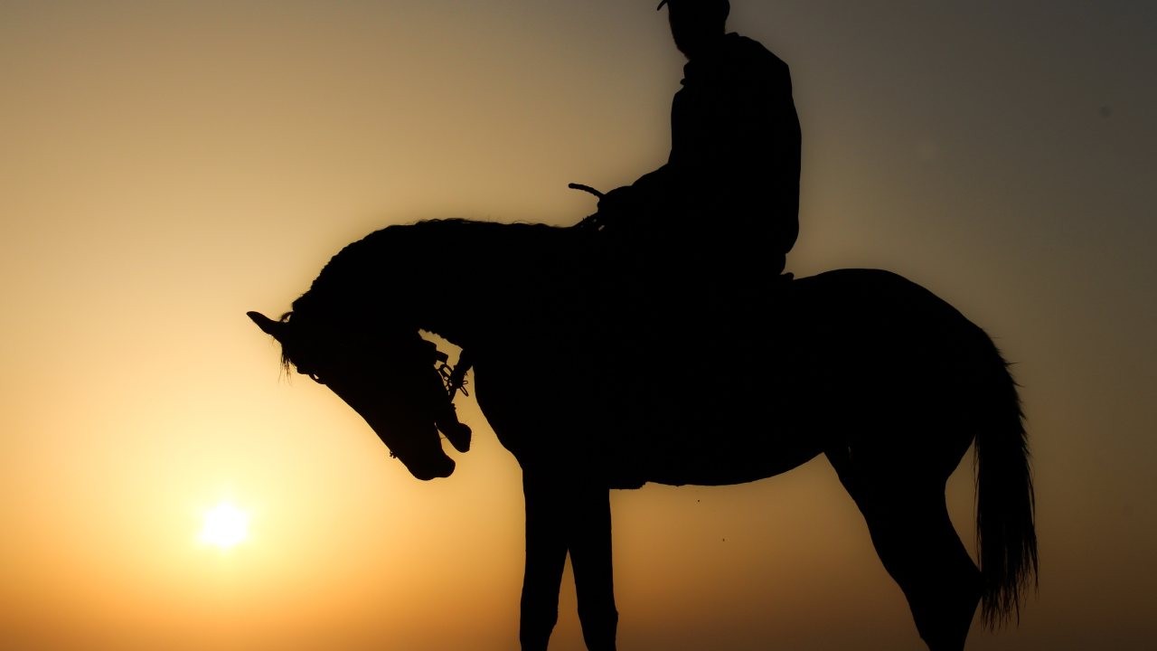 Ride the Dunes: Doha Desert Horseback Adventure 3