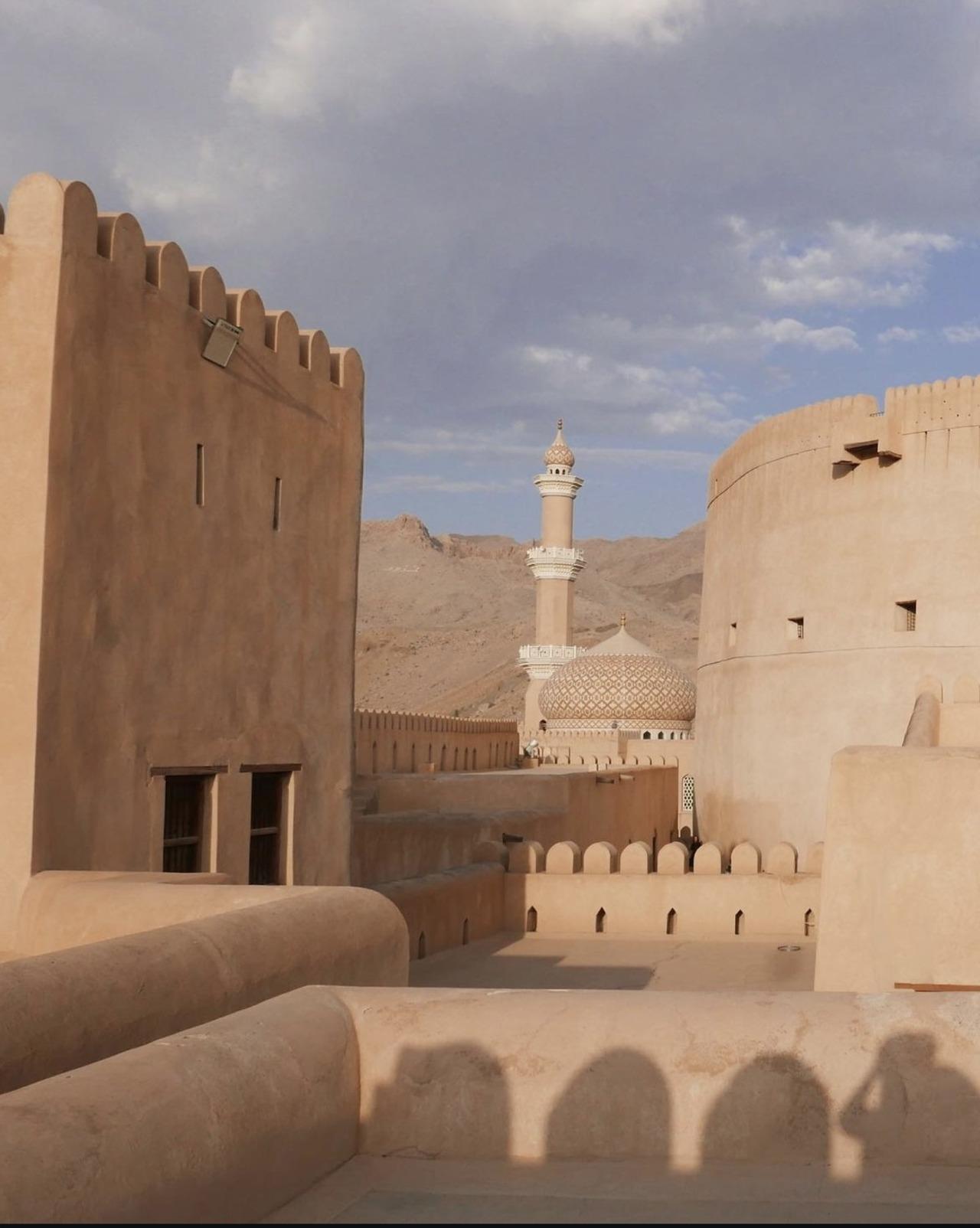 Muscat to Nizwa: Private Fort, Souq, Falaj & Museum Tour 2