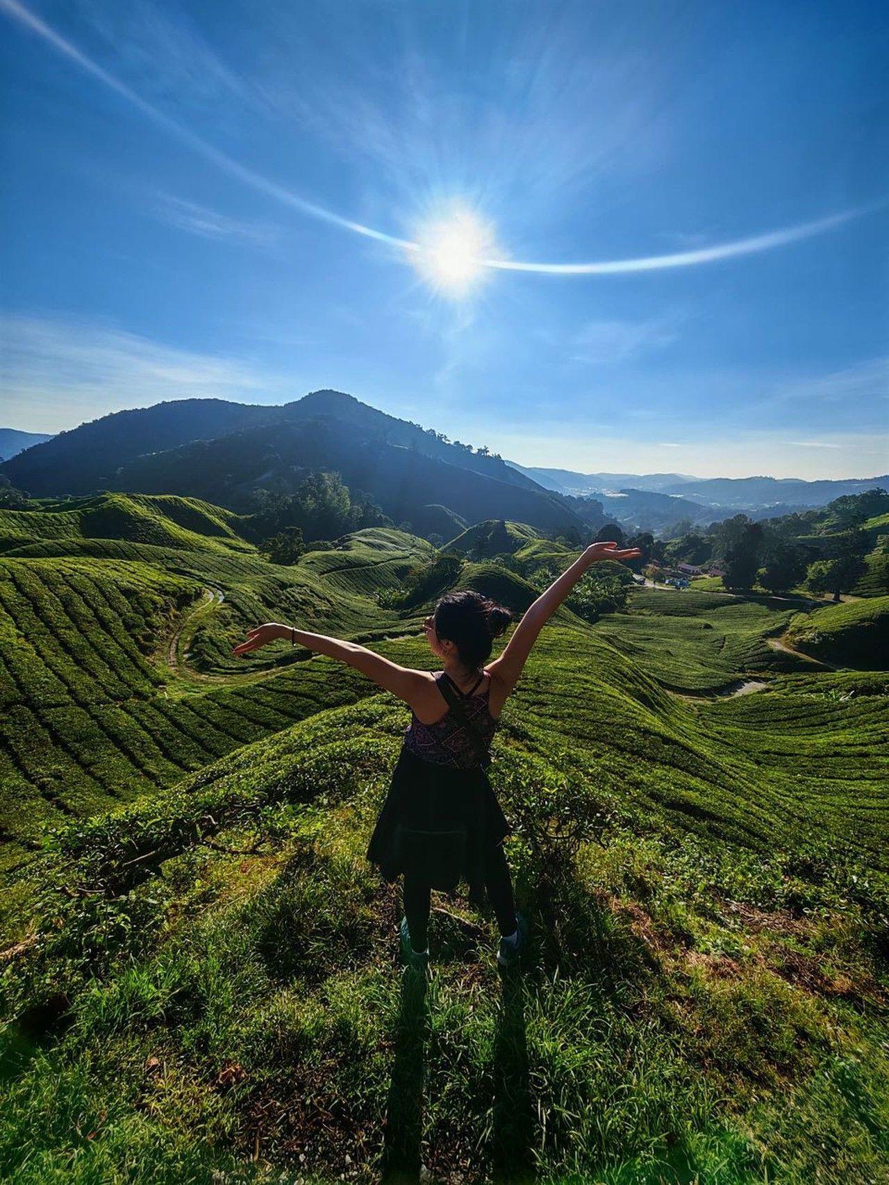 Cameron Highlands: Mossy Forest Private Land Rover Half-day 3