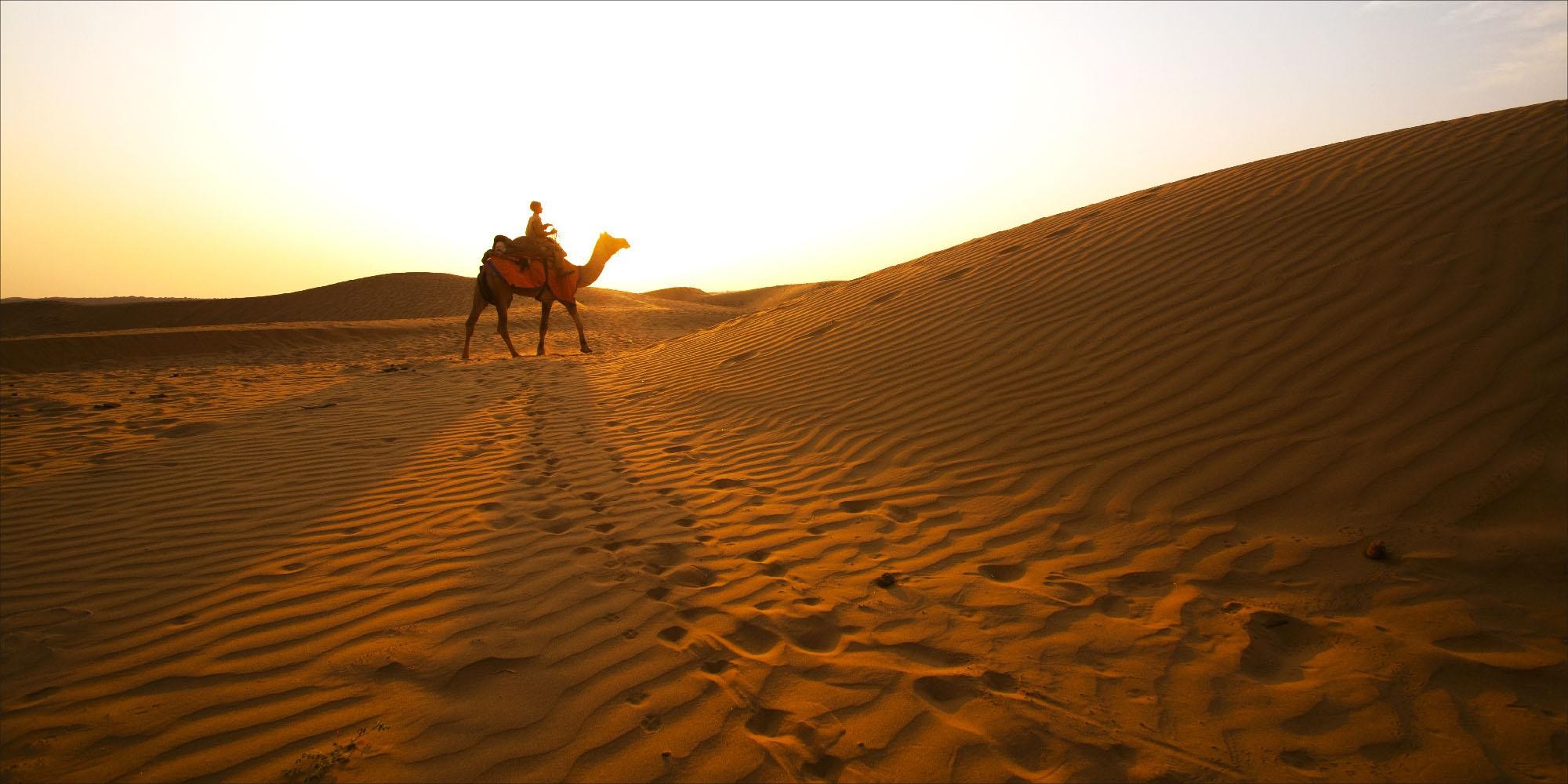 From Doha: 8-hour Safari Tour with Desert Beach Experience 2