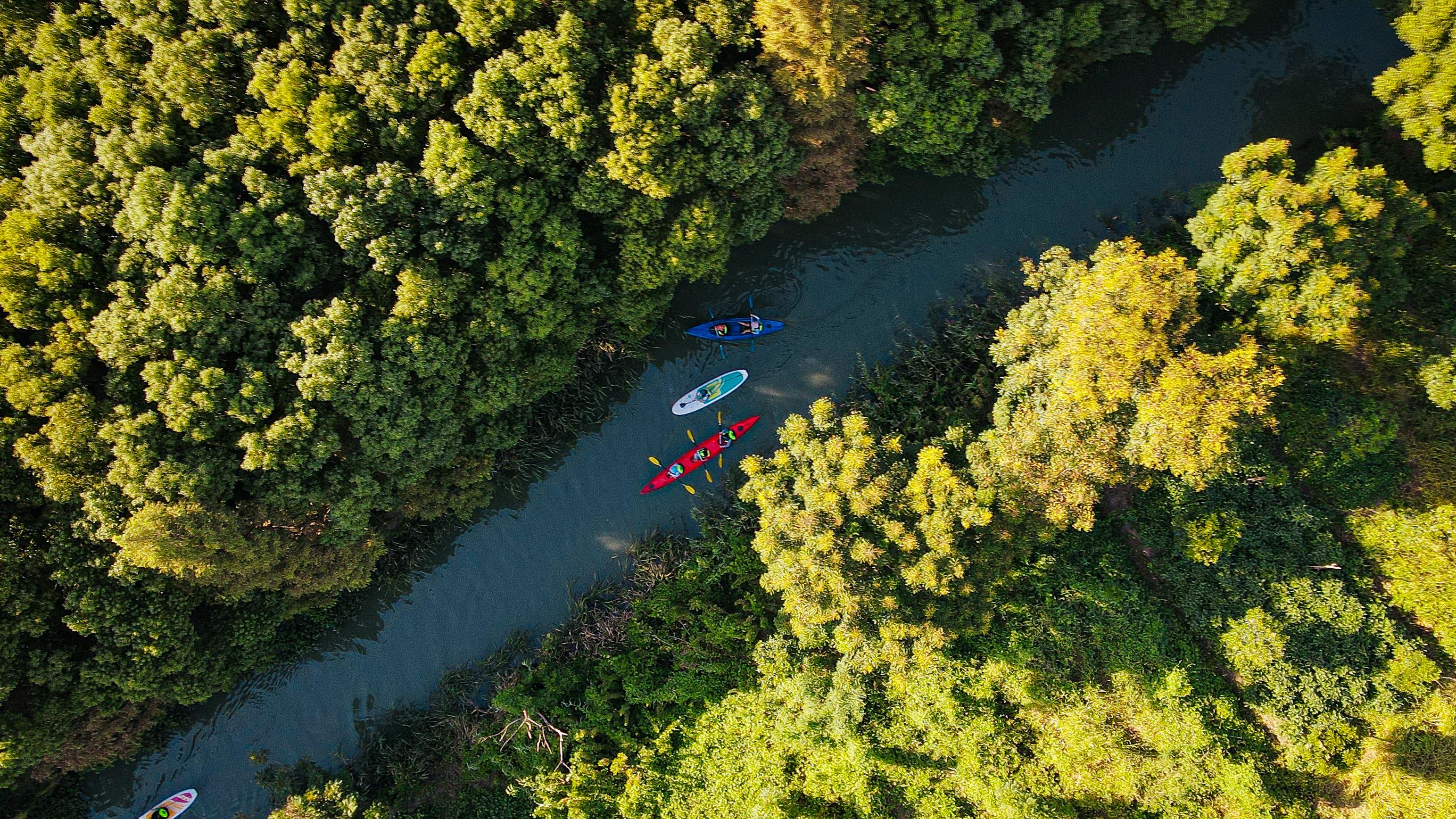Shanghai: Chongming Island Hidden Wetland & Canoe Tour 2