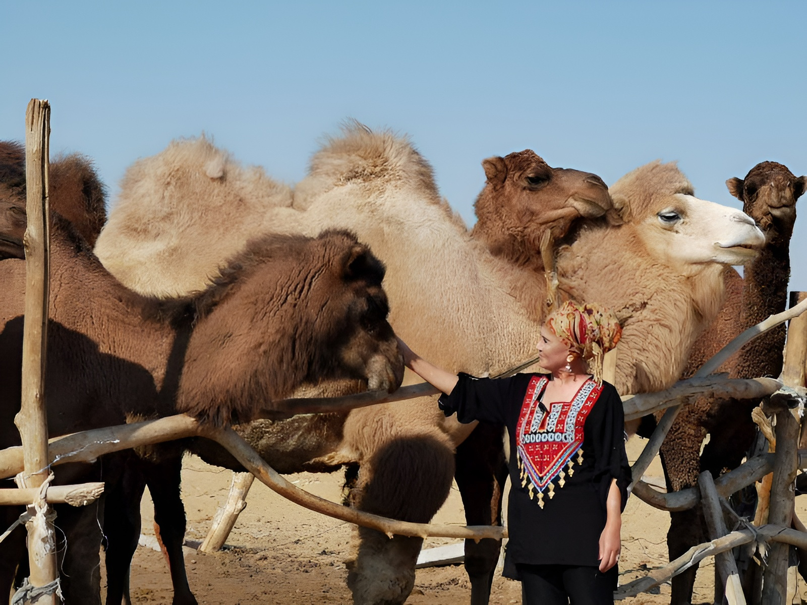 Khiva: Bukhara Transfer with Fortress Visits 2