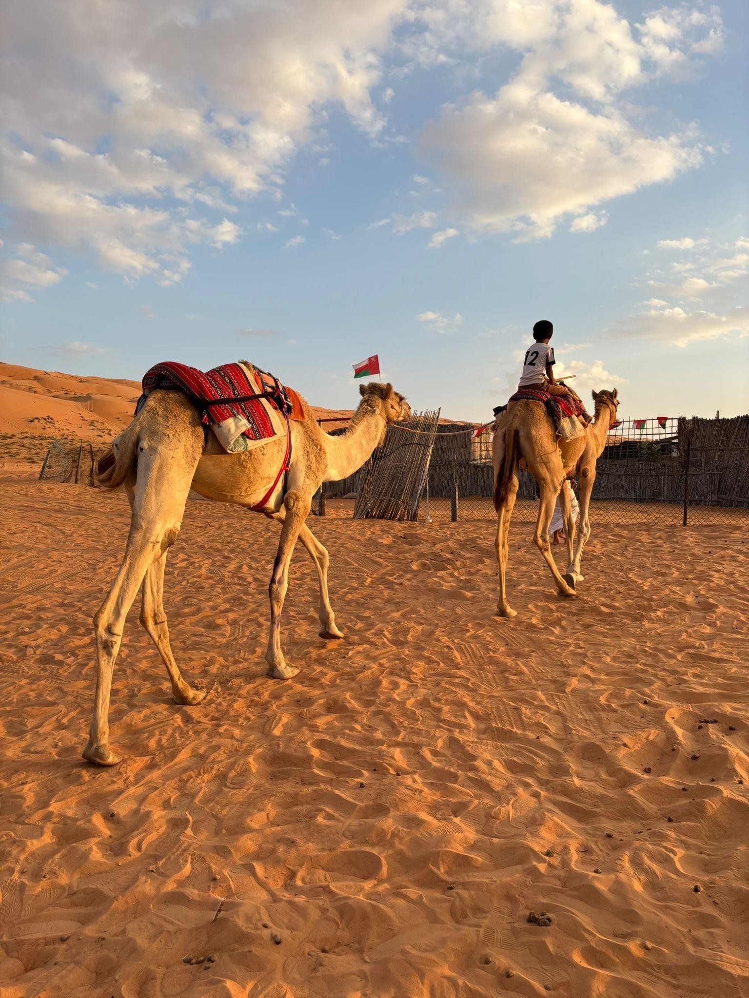 Muscat: Desert Sunset &Wadi Bani Khalid Full-Day Tour+Lunch 3