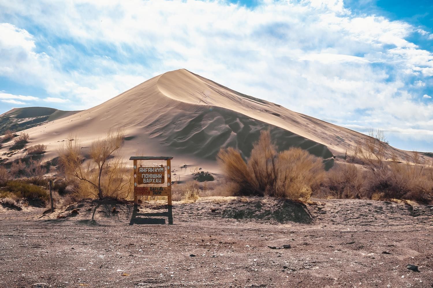 From Almaty: Altyn-Emel Dune, Aktau, Katutau & Willow Tour