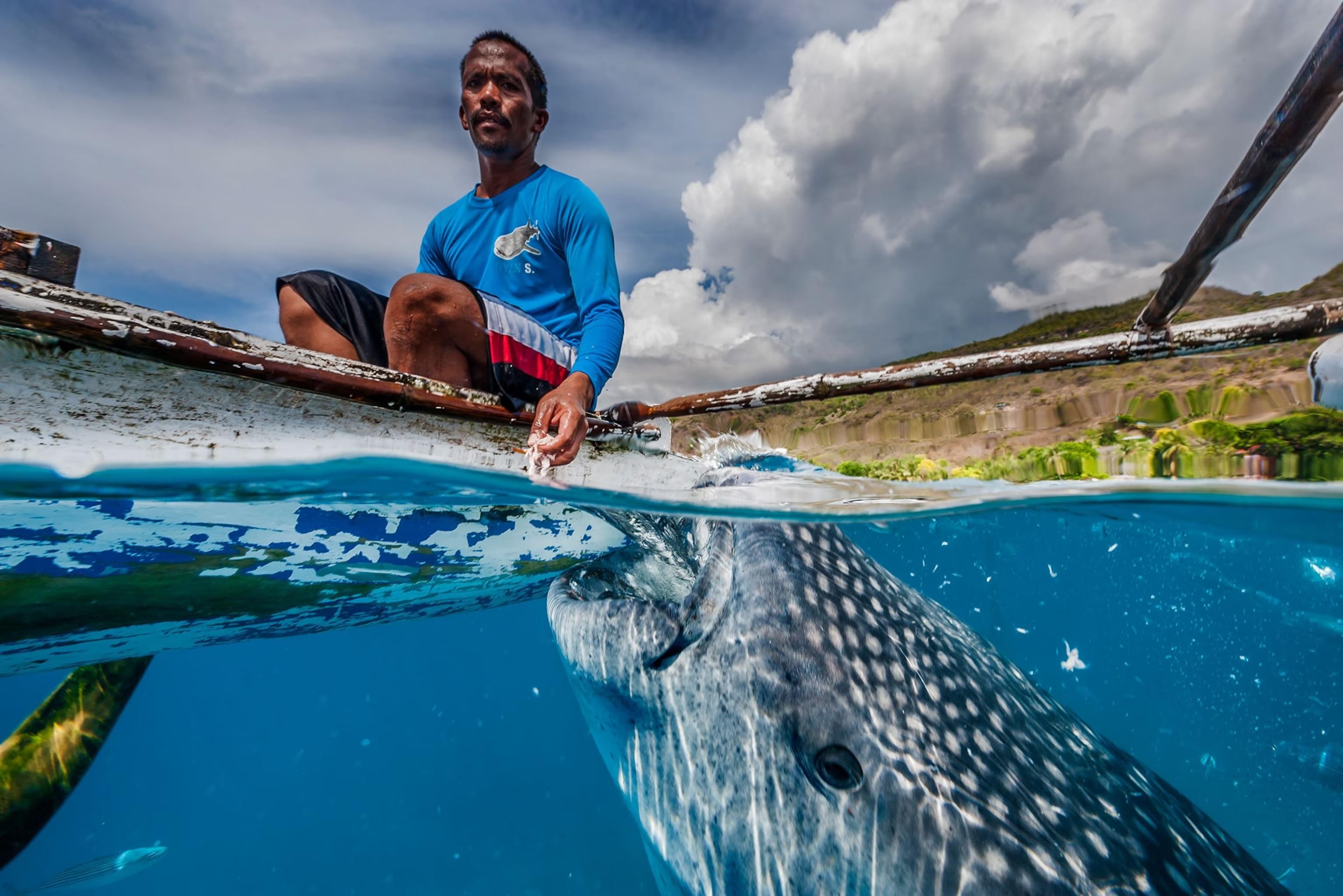 Oslob Whale Shark from Dumaguete City 2