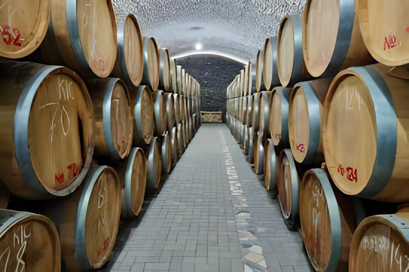 Wine tour in Samarkand Baguizagan with Entry Ticket Included 2