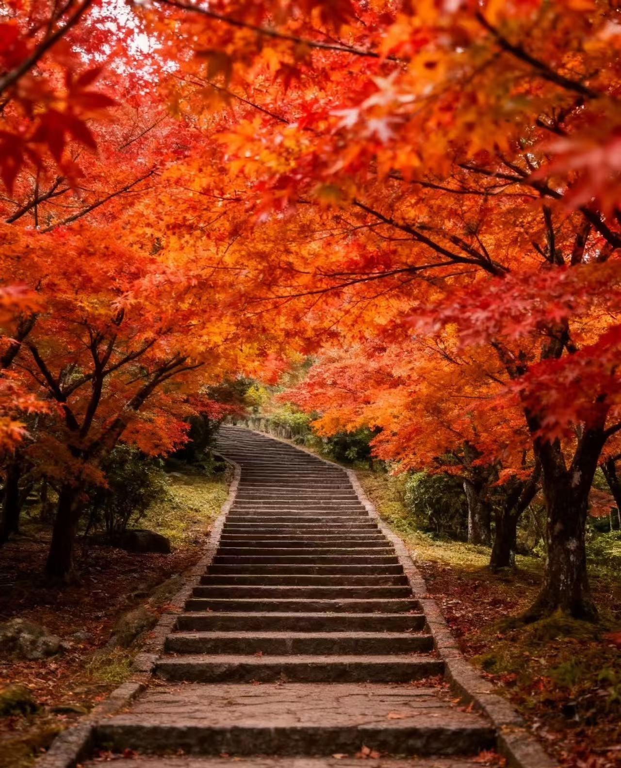 From Taipei or Taichung: 2-Day Alishan & Sun Moon Lake Tour 2